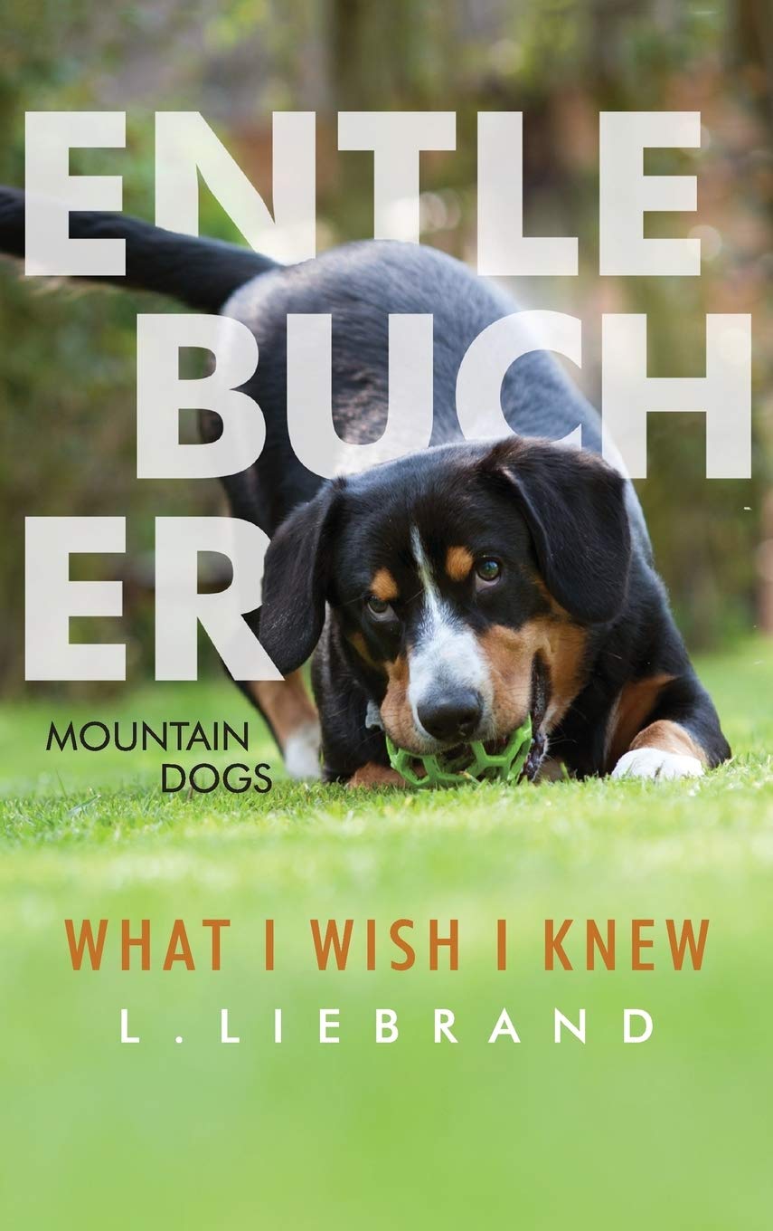 Entlebucher Mountain Dogs - What I Wish I Knew Pets