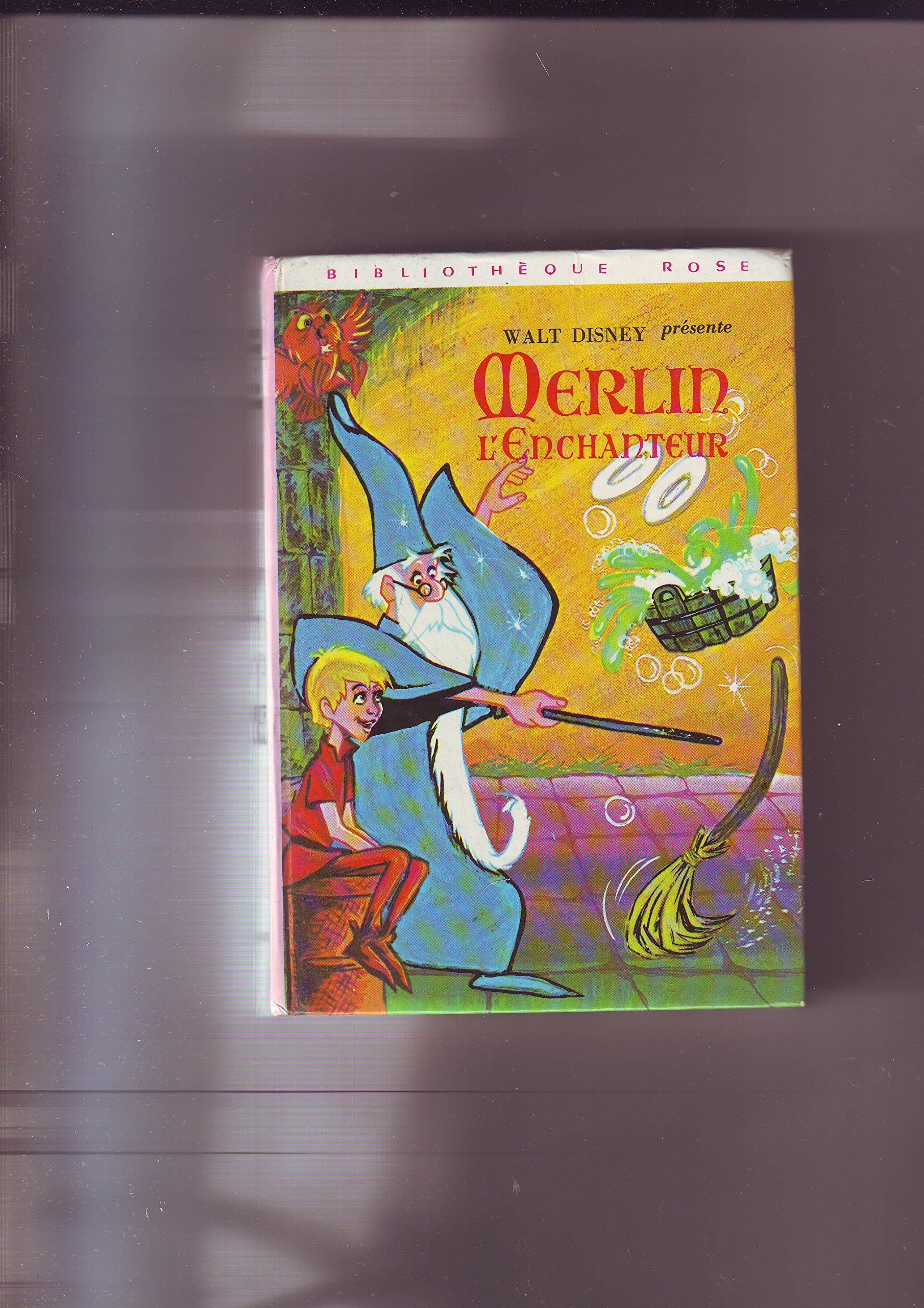 Merlin l'enchanteur : Collection : Bibliothèque rose cartonnée Books