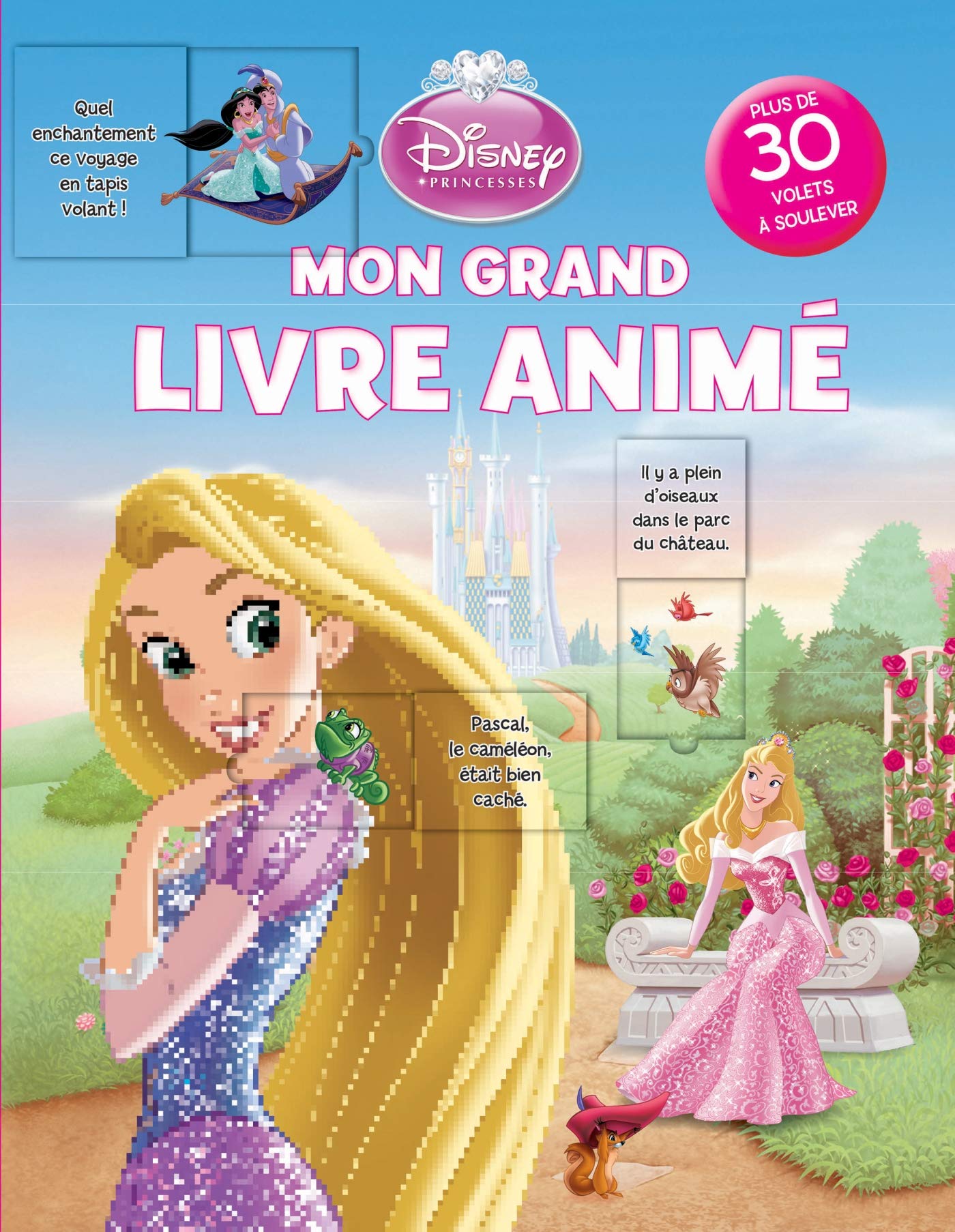 Mon grand livre animé Disney Princesses book
