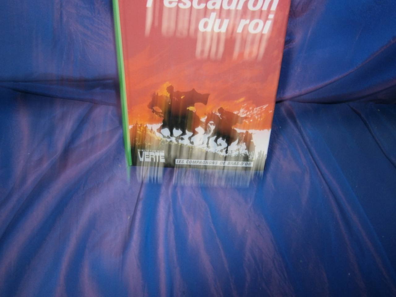 L'Escadron du roi (Bibliothèque verte) book