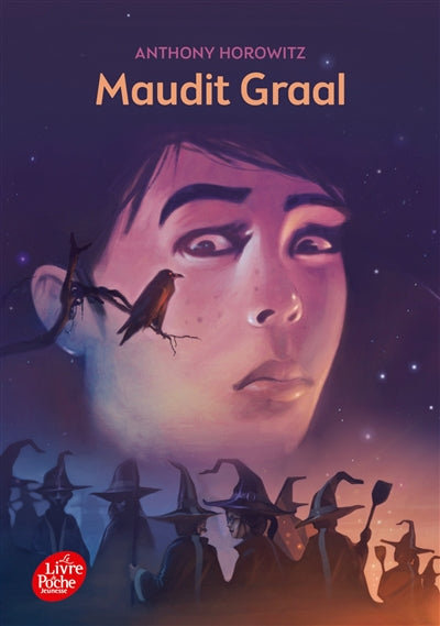 Product Image: Les aventures de David Eliot. Vol. 2. Maudit Graal