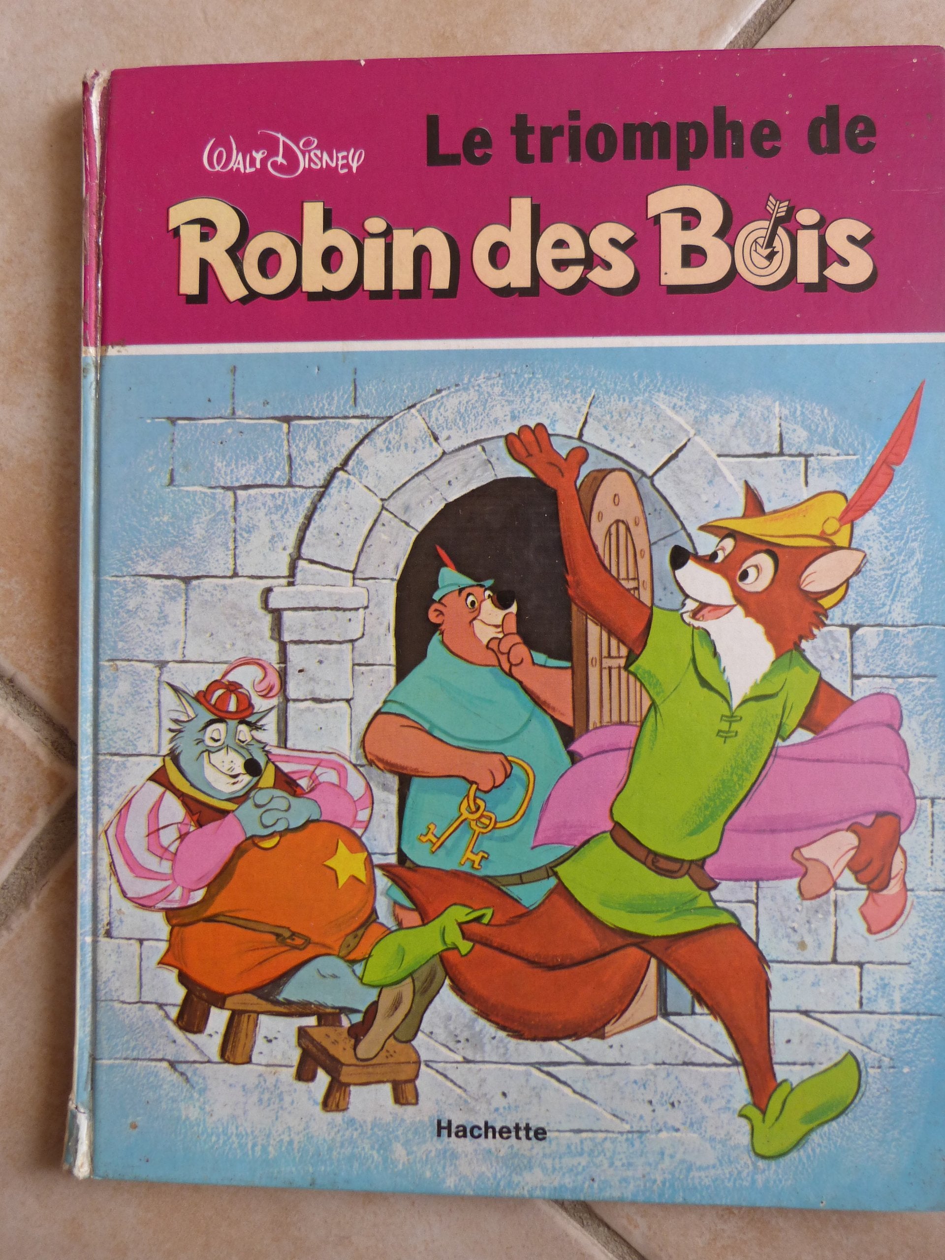 Le Triomphe de Robin des Bois book