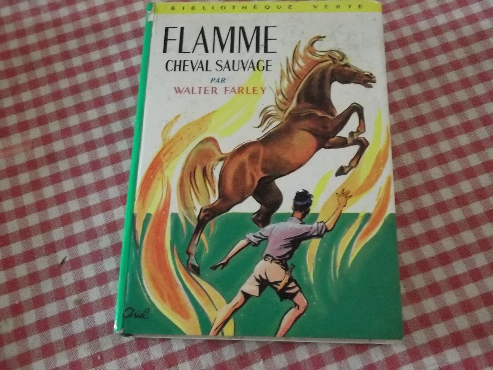 Flamme cheval sauvage : Collection : Bibliothèque verte cartonnée Books