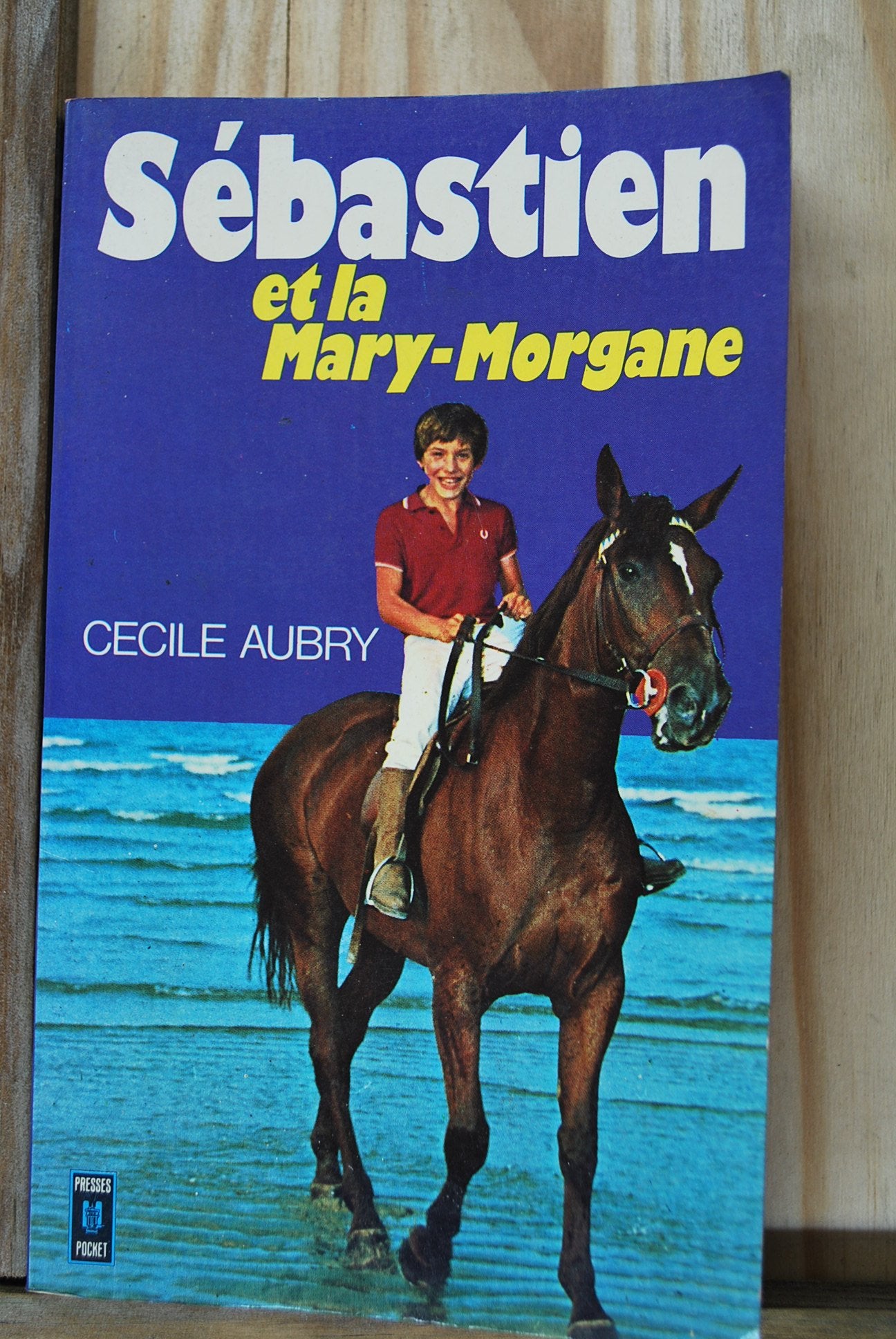 Sébastien et la Mary-Morgane Books