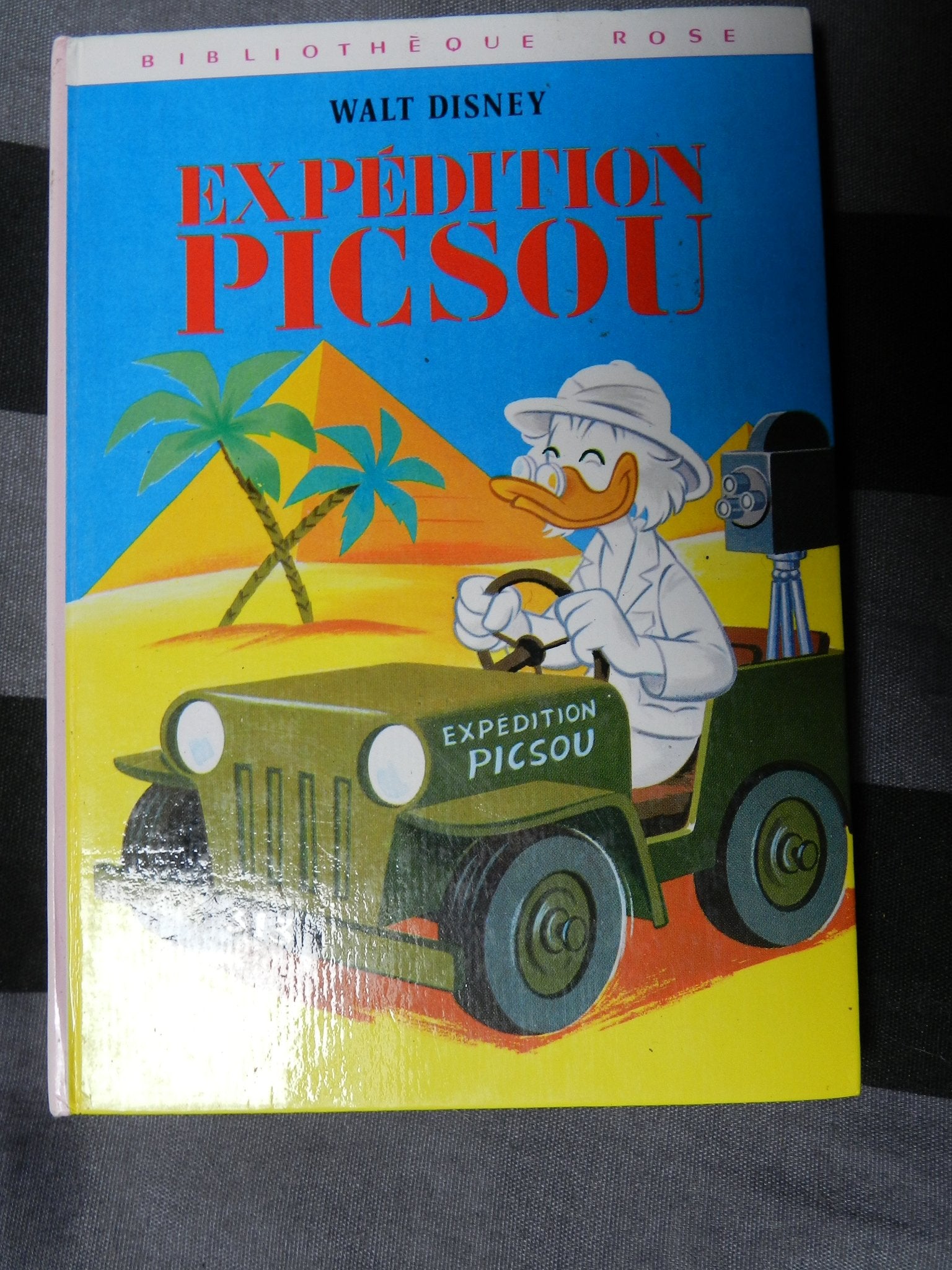 Expédition Picsou : Collection : Bibliothèque rose cartonnée & illustrée Books