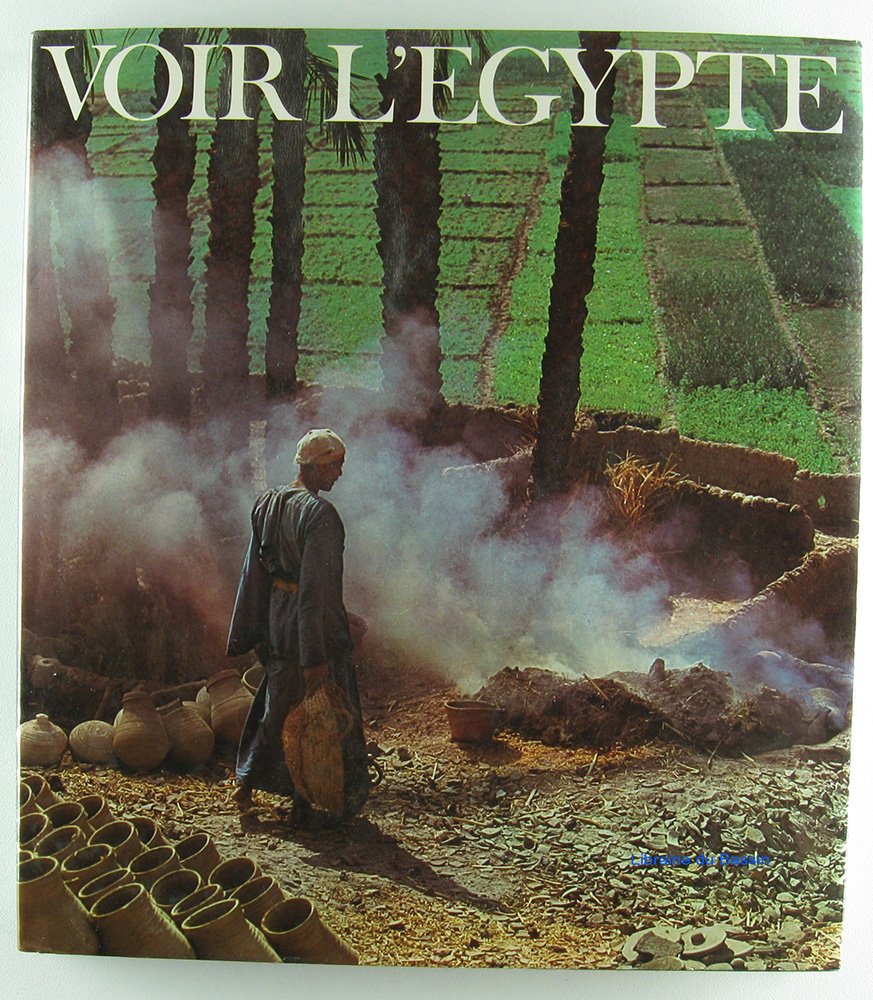 Voir l'Egypte book