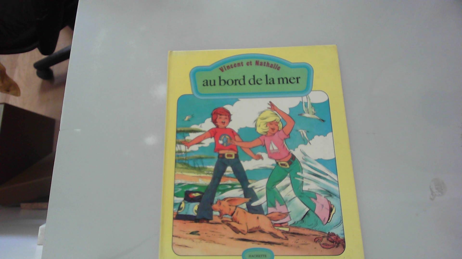 Vincent et Nathalie au bord de la mer. book