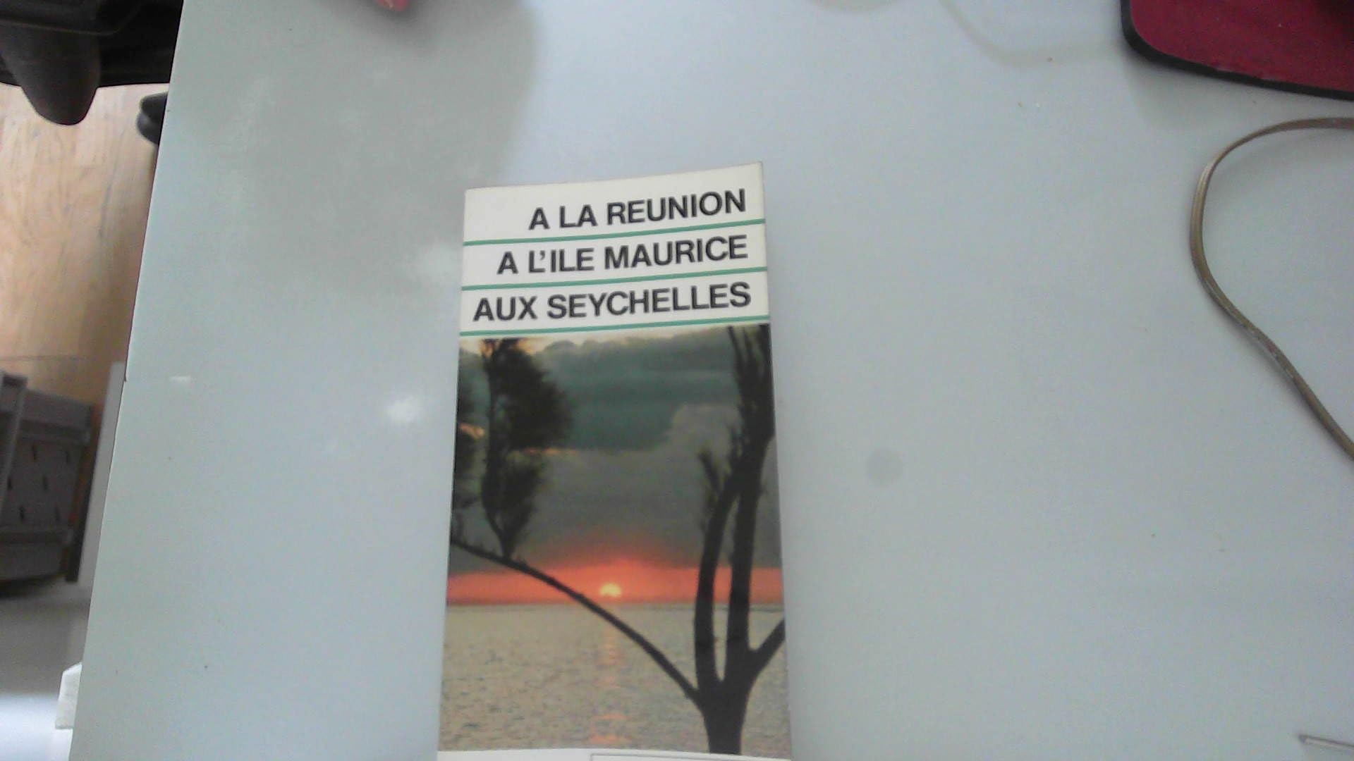 A la Réunion, à l'île Maurice, aux Seychelles (Guides bleus à) book