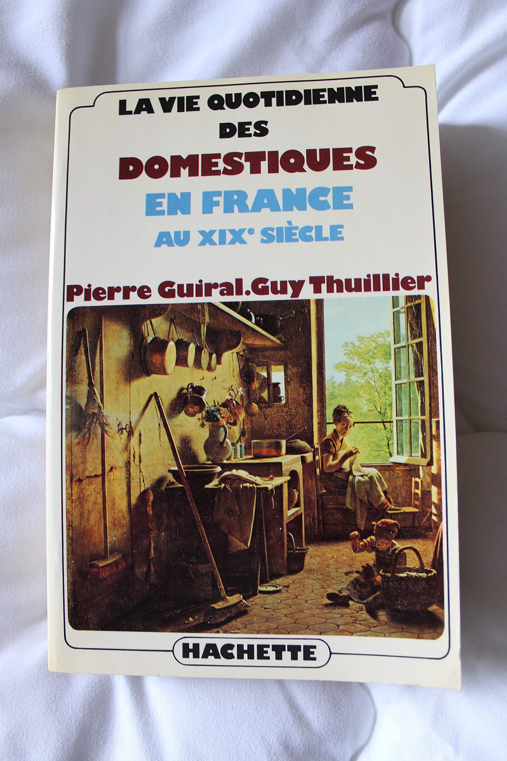 La Vie quotidienne des domestiques en France au 19e siècle Books