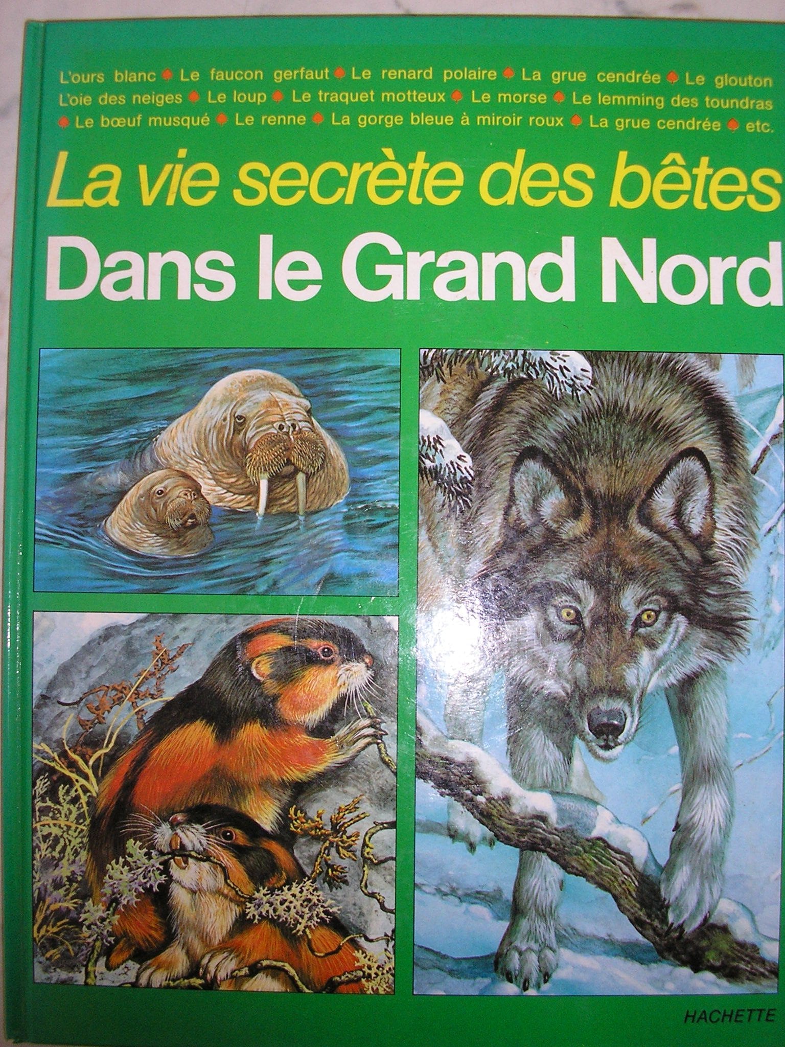 Dans le grand nord (Hjd V.S Betes) Books