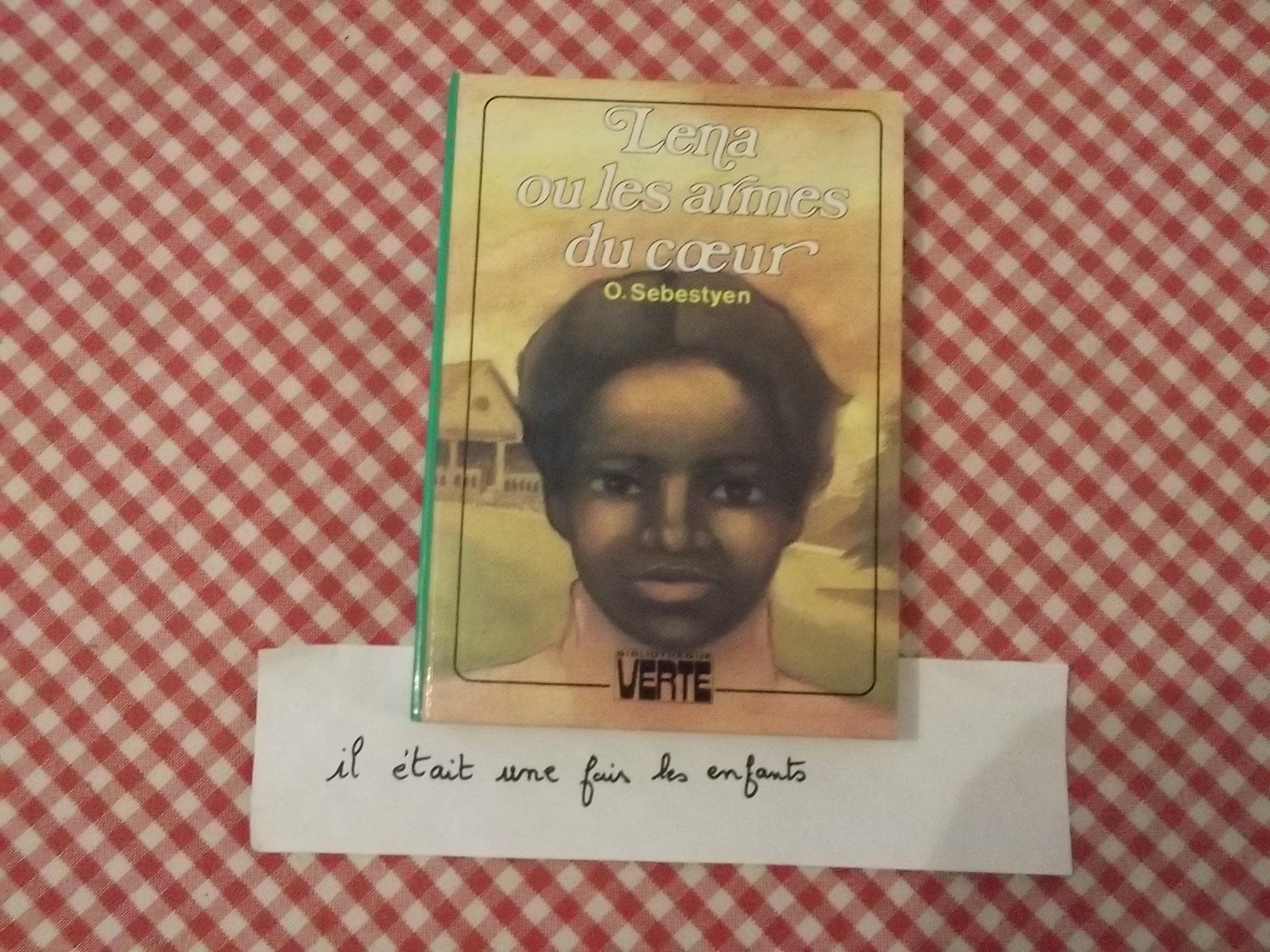 Lena ou les Armes du coeur (Bibliothèque verte) book