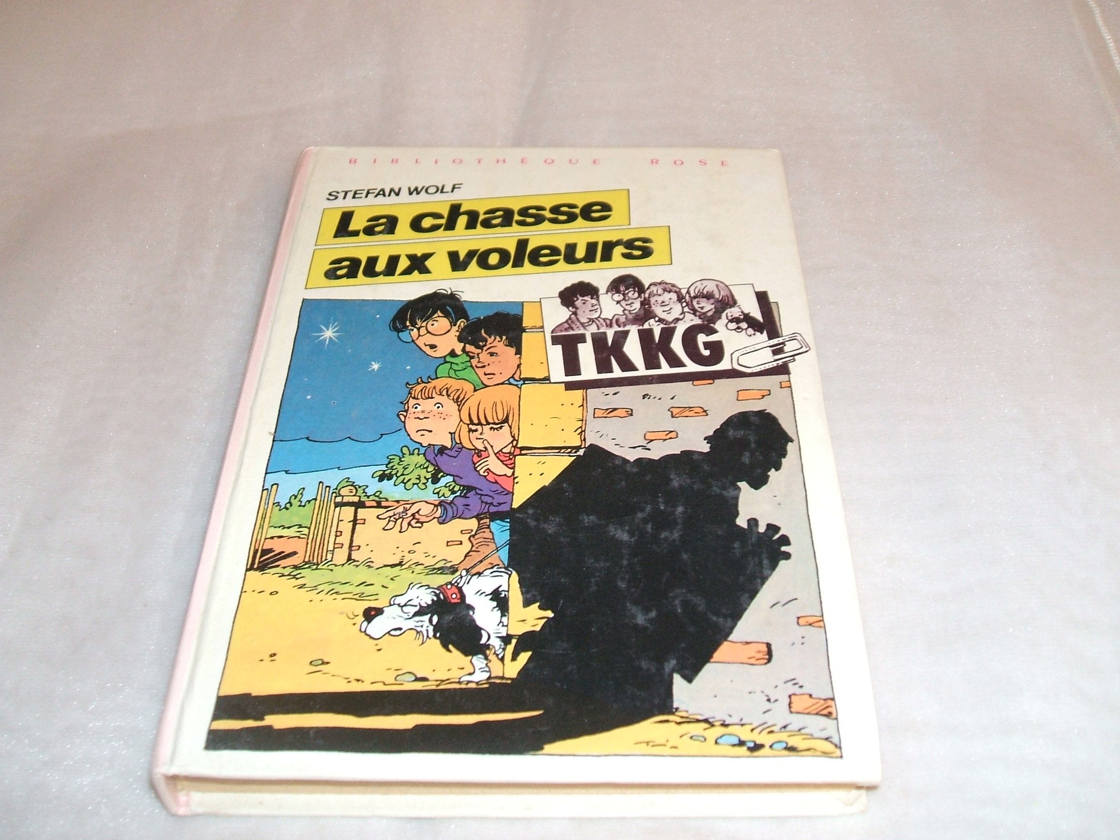 La Chasse aux voleurs (Bibliothèque rose) book