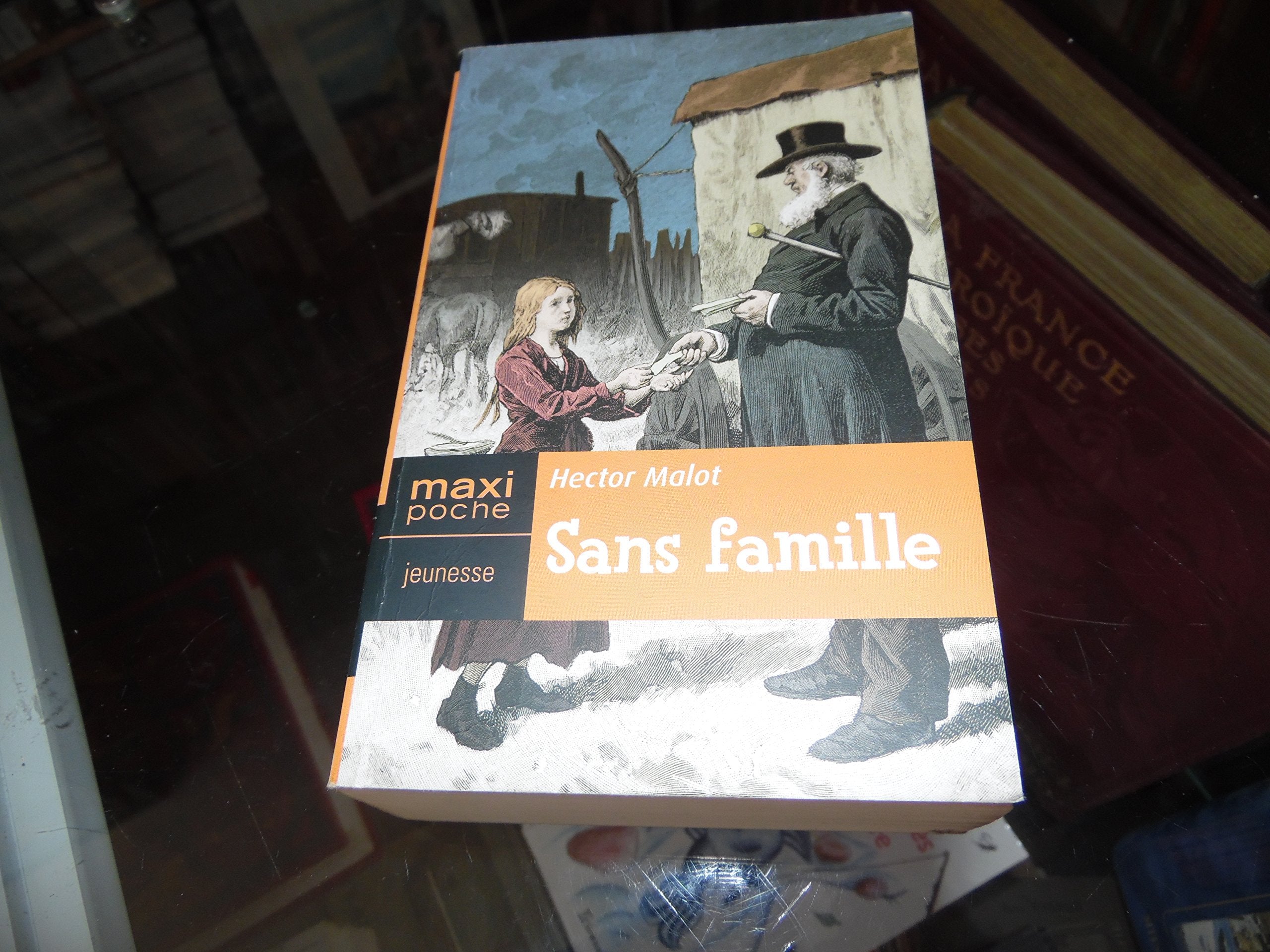 Sans Famille Books