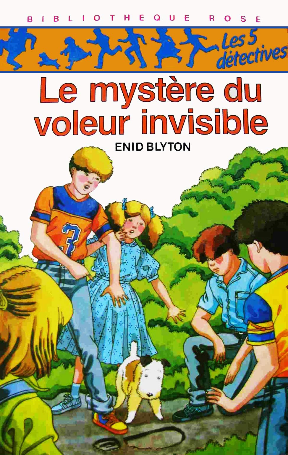 Le Mystère du voleur invisible (Bibliothèque rose) book