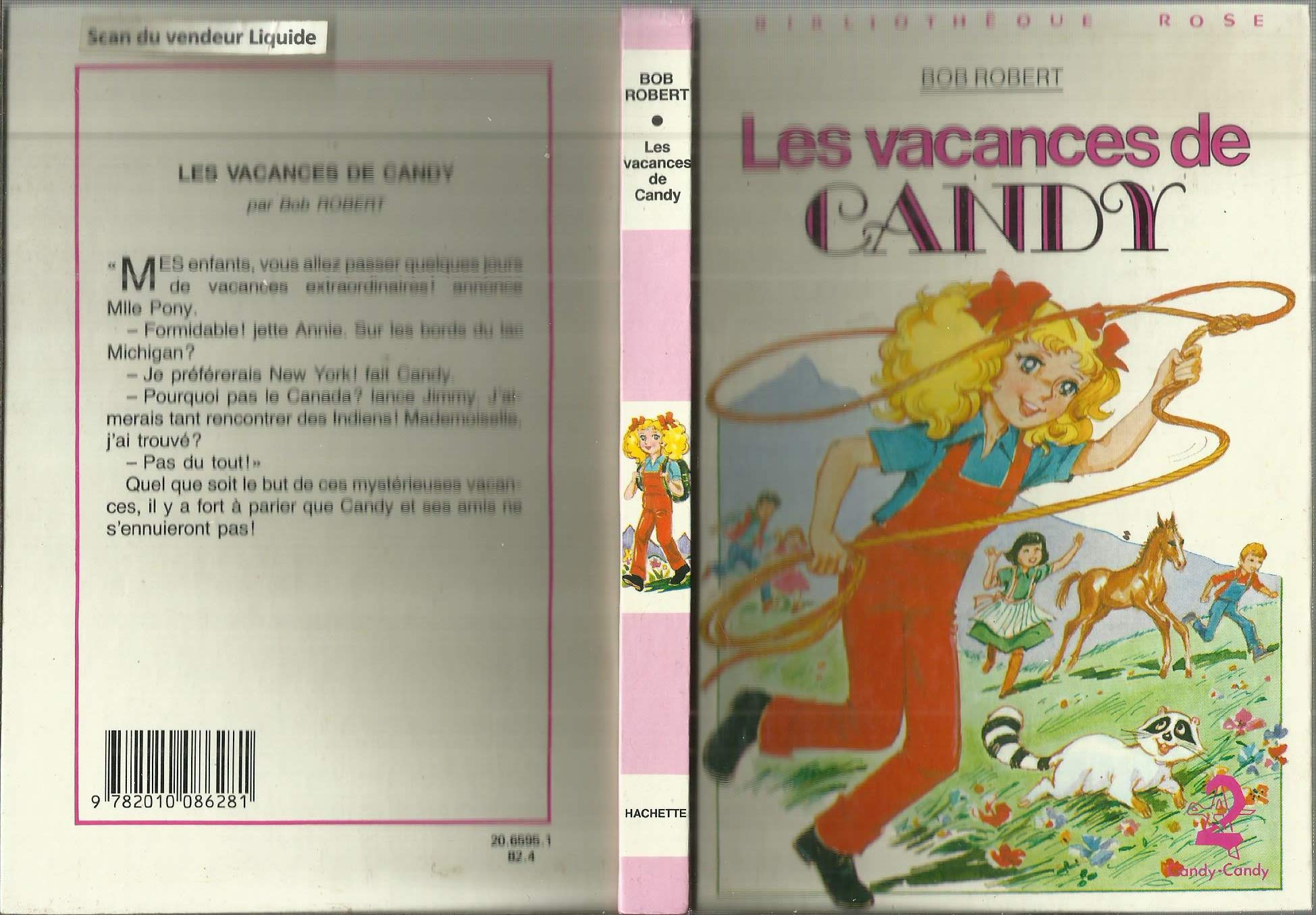 Les vacances de Candy : Collection : Bibliothèque rose cartonnée & illustrée book
