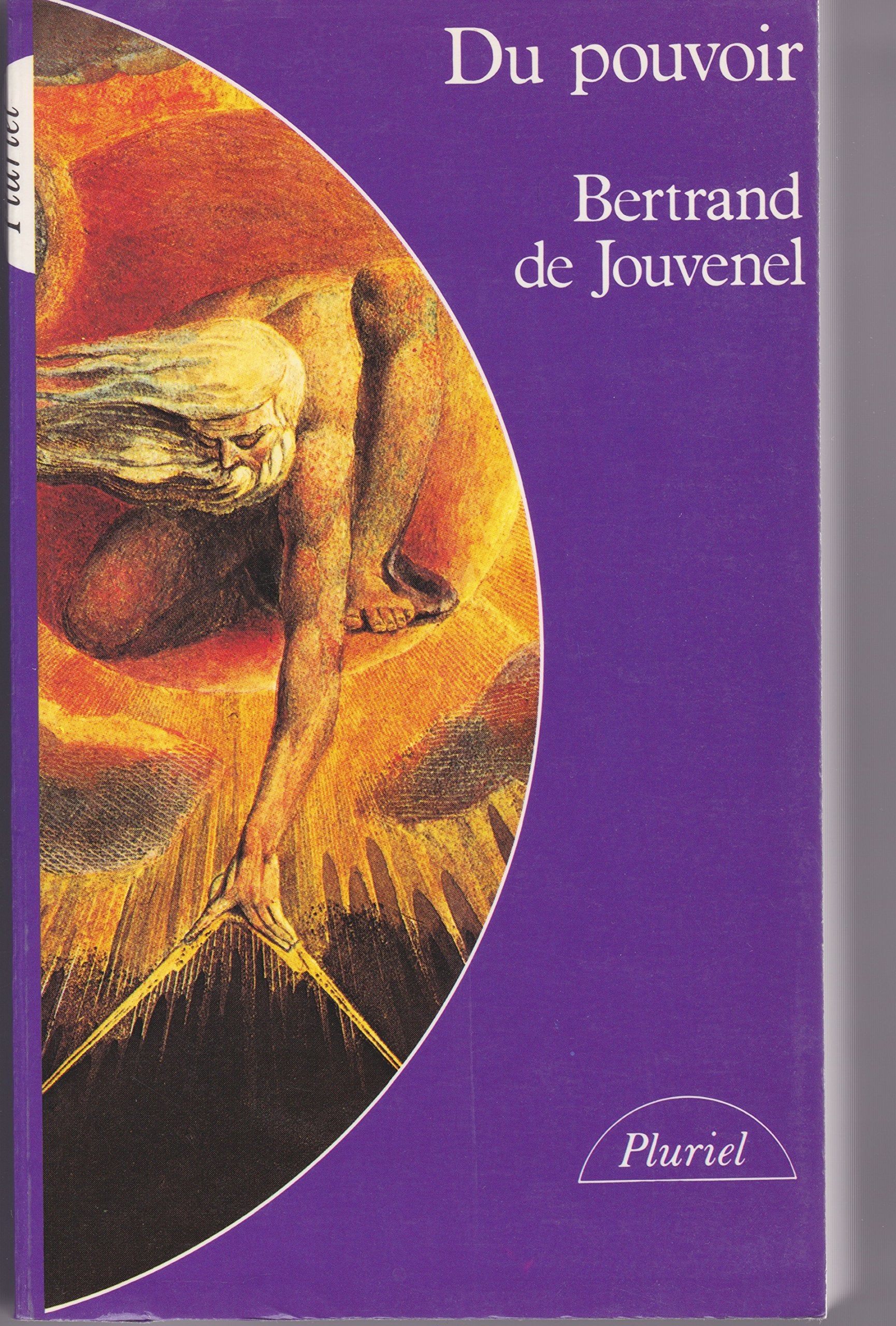 DU POUVOIR : HISTOIRE NATURELLE DE SA CROISSANCE book