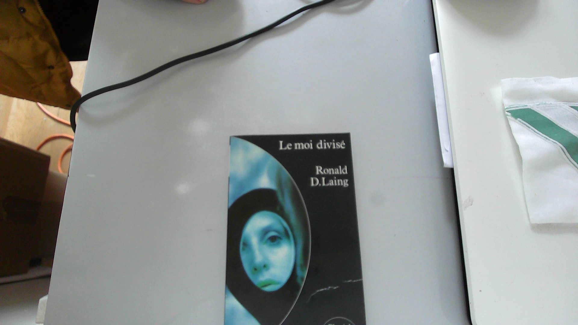 Le moi divisé : de la santé mentale à la folie Books
