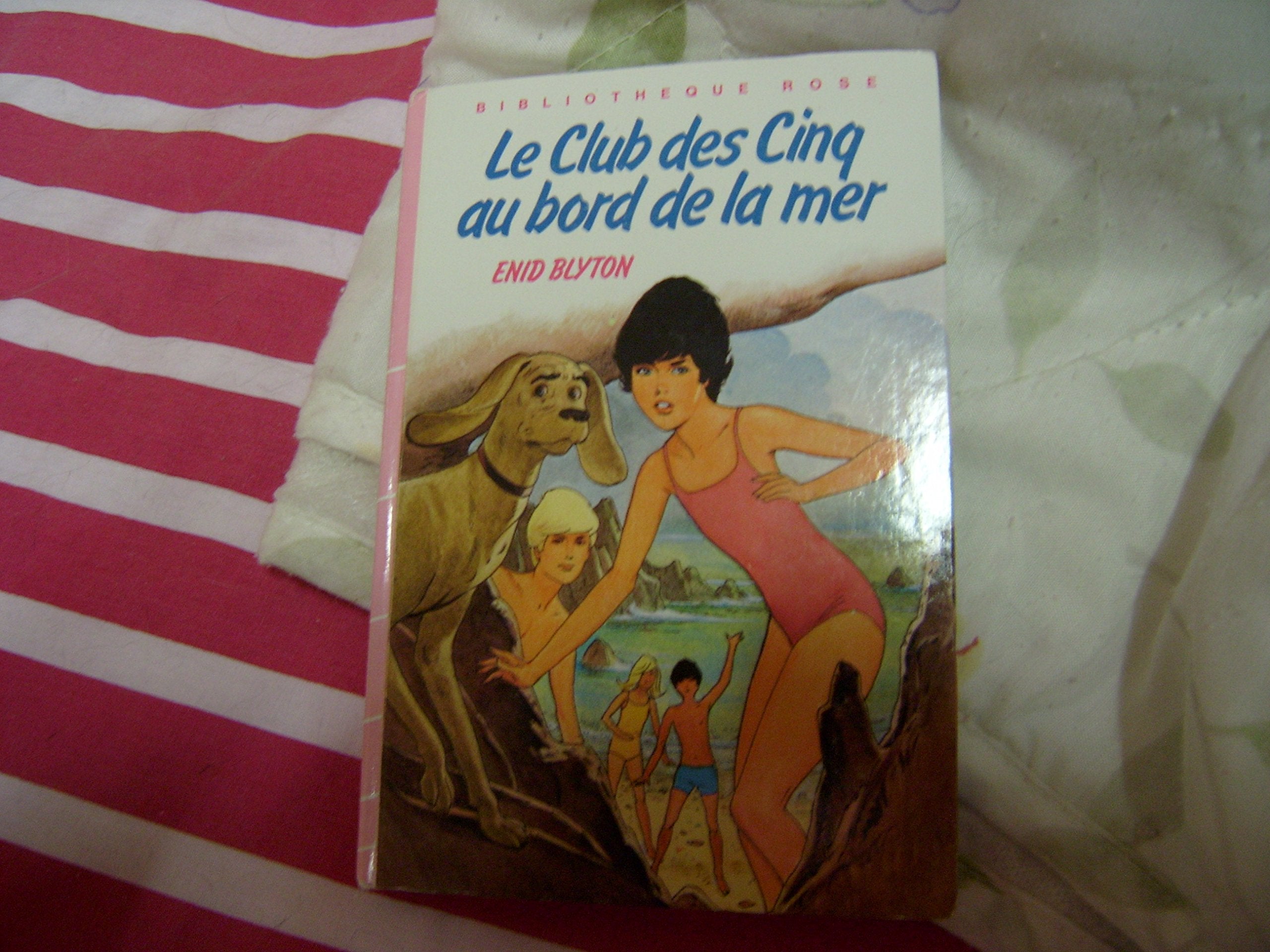 Le Club des Cinq au bord de la mer (Bibliothèque rose) book