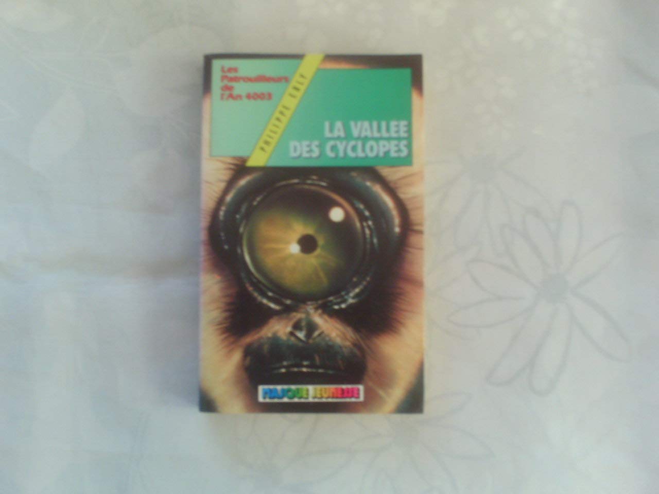 La Vallée des cyclopes (Les Patrouilleurs de l'an 4003) book