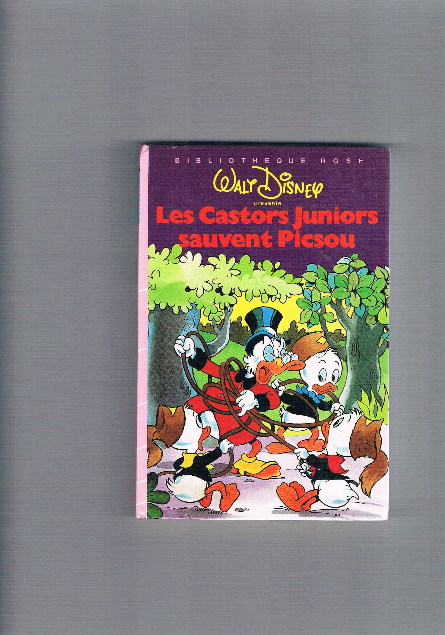 Les Castors juniors sauvent Picsou (Bibliothèque rose) Books