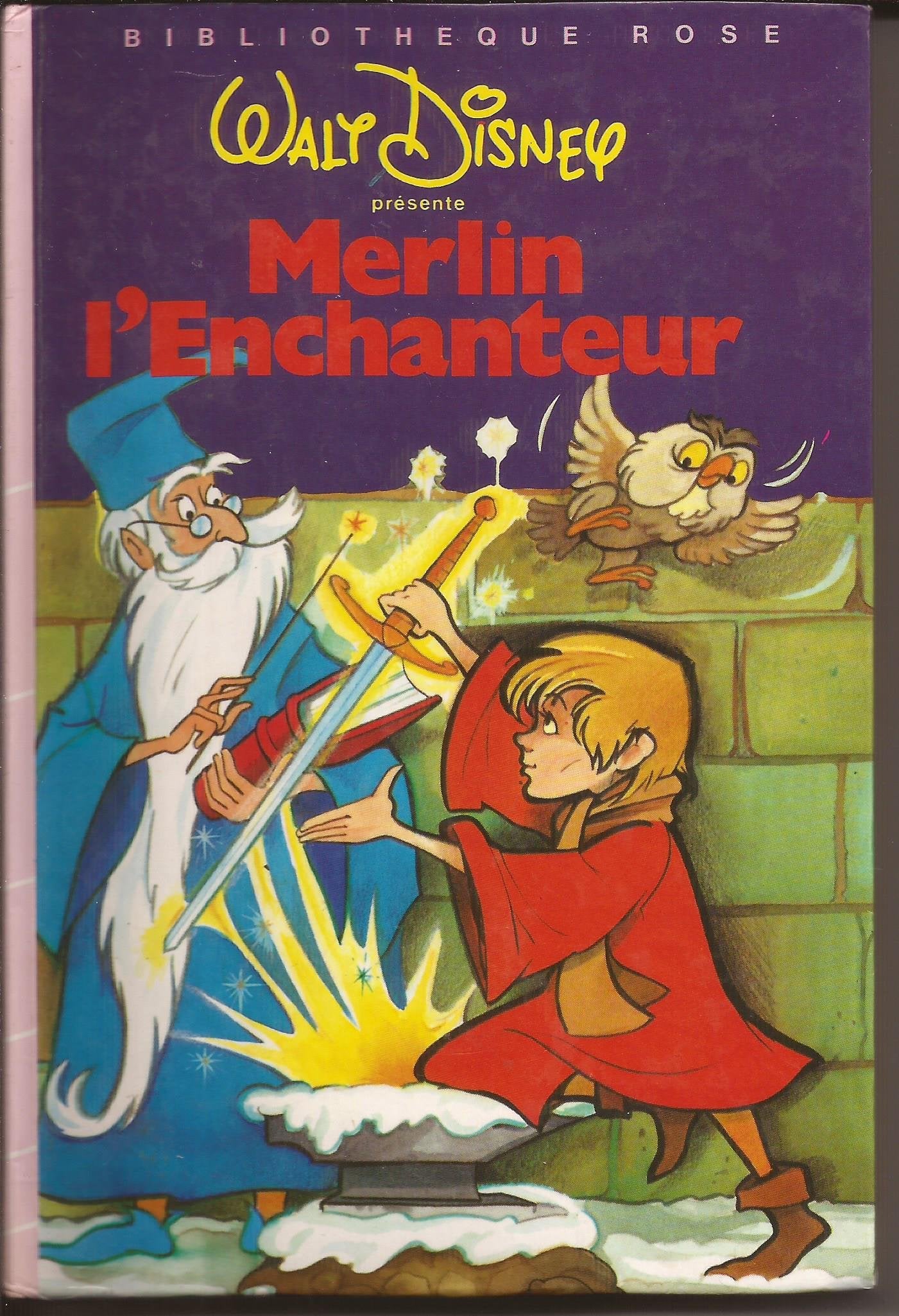 Merlin l'Enchanteur (Bibliothèque rose) book