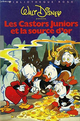 Les Castors juniors et la source d'or (Bibliothèque rose) book