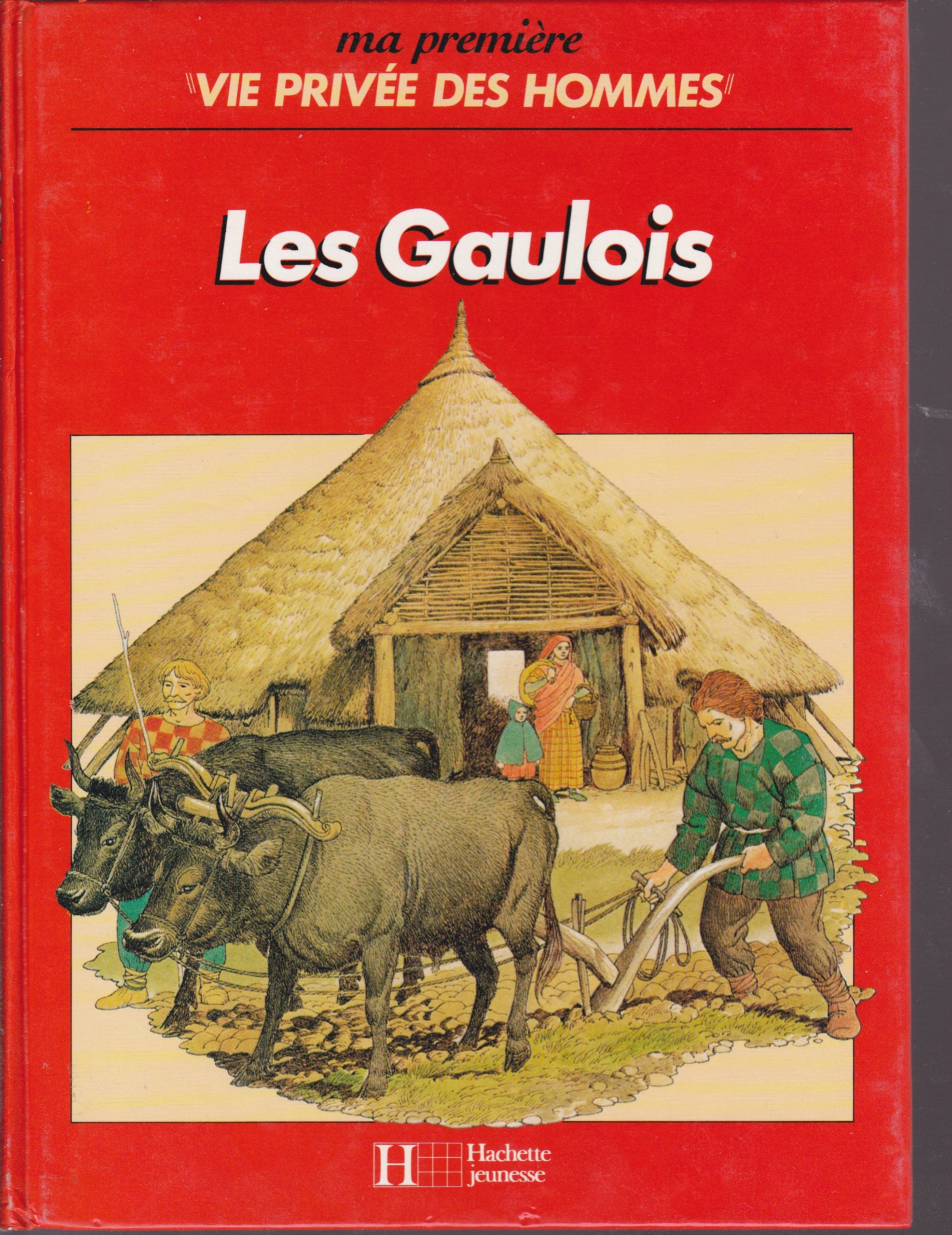 Ma première vie privée des hommes: Les Gaulois book