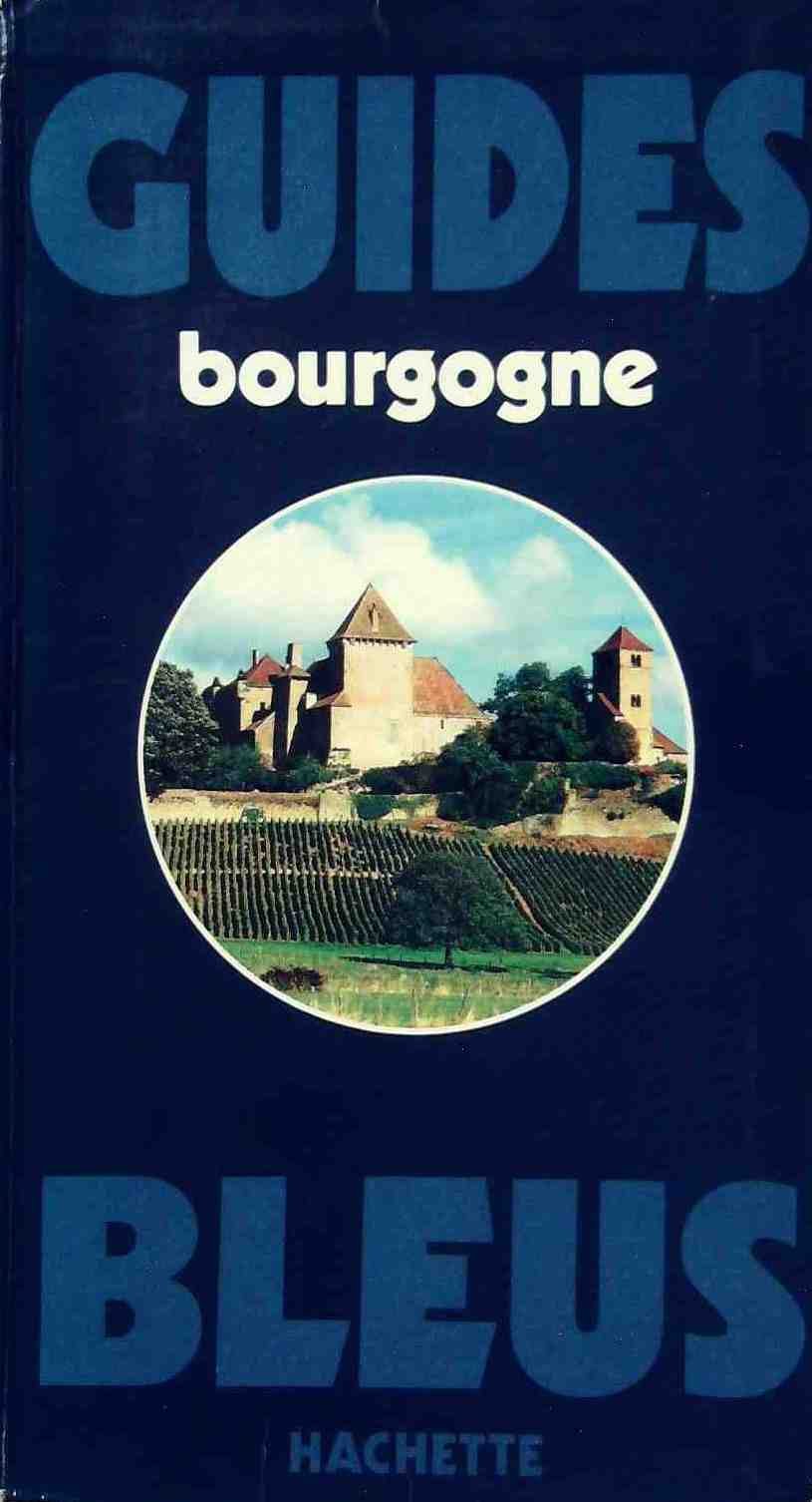 Guide bleu Bourgogne (Les Guides bleus) (French Edition) Books