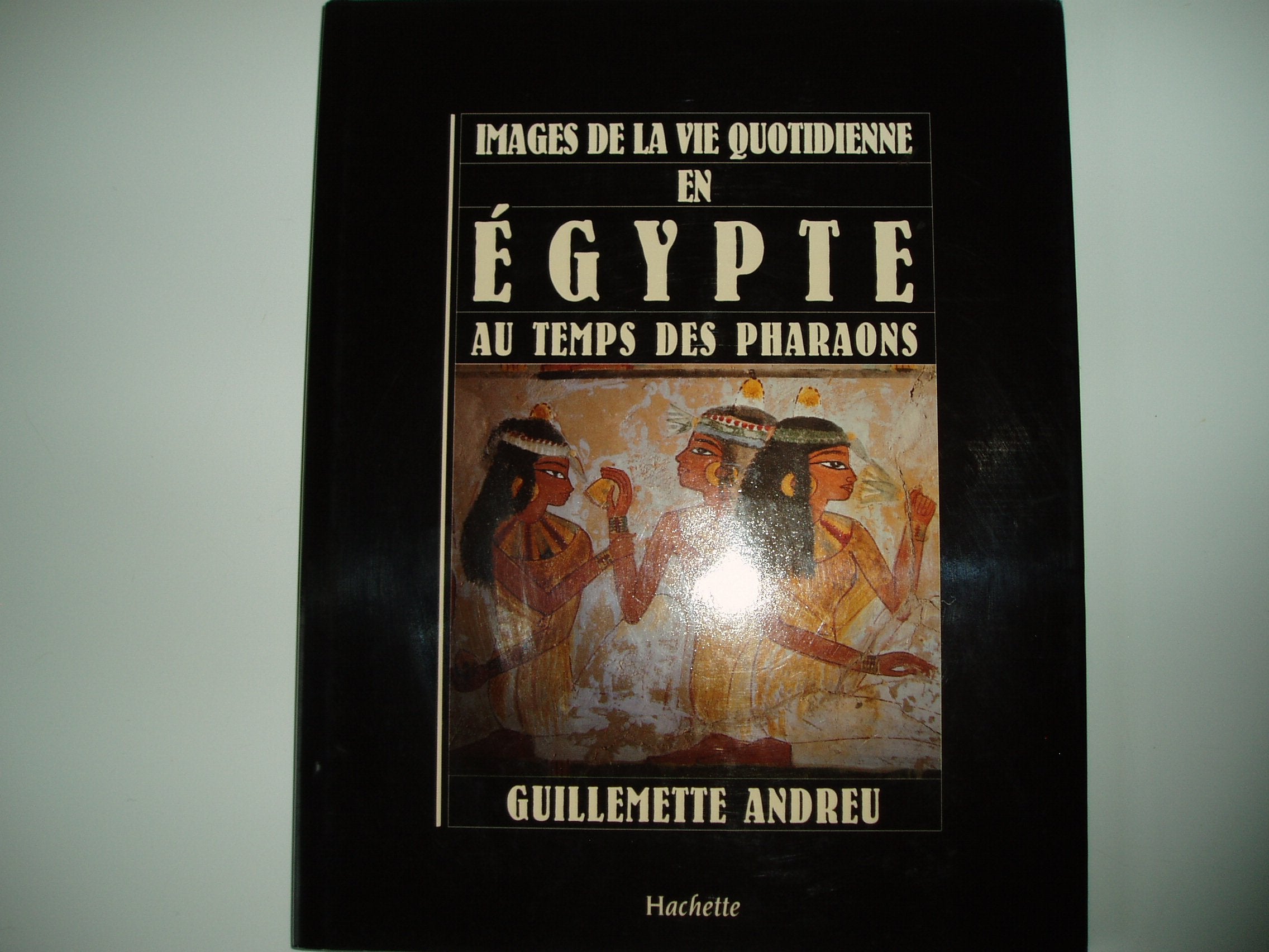 Images de la vie quotidienne en Égypte au temps des pharaons Books
