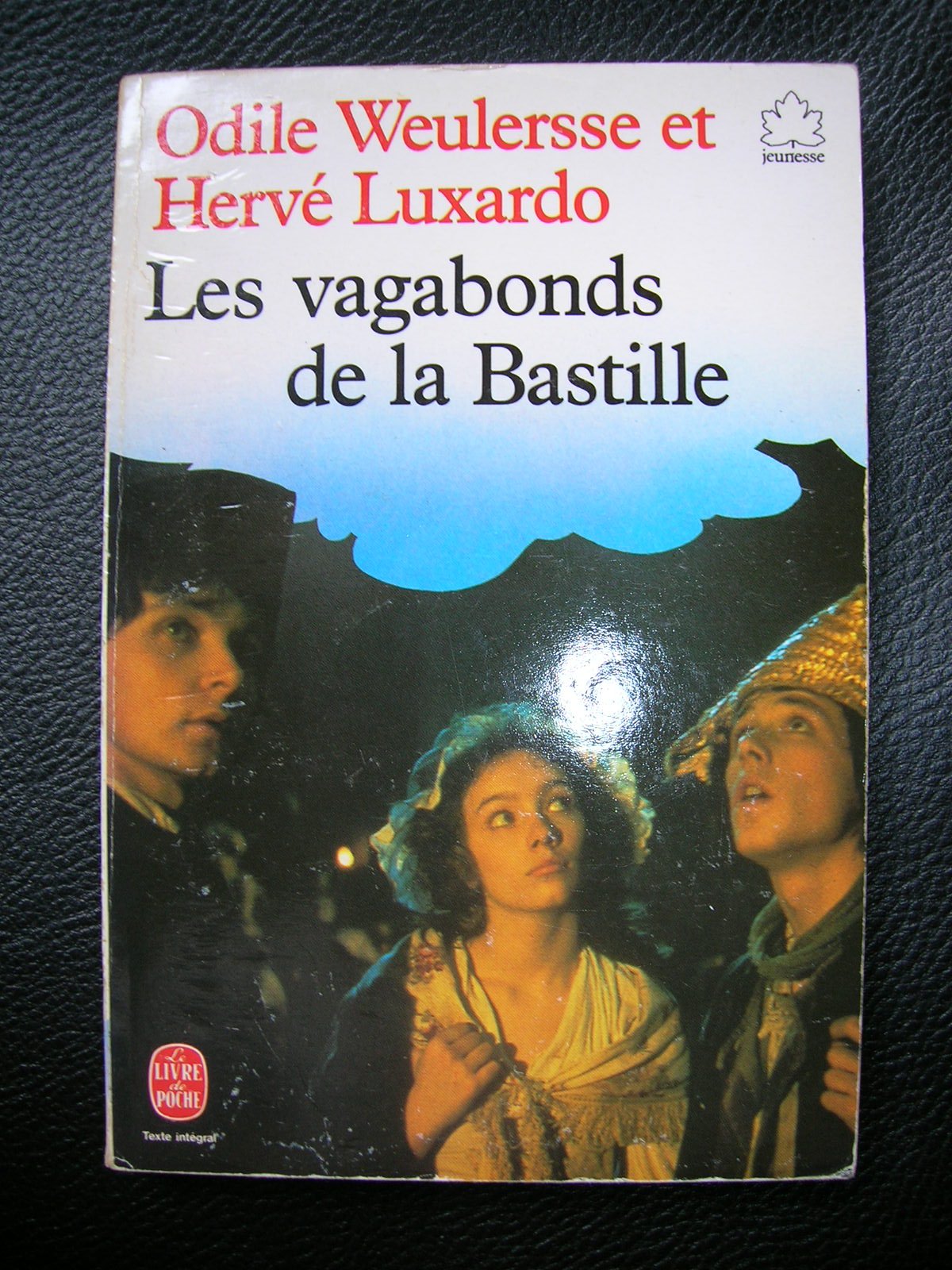 Les Vagabonds de la Bastille book