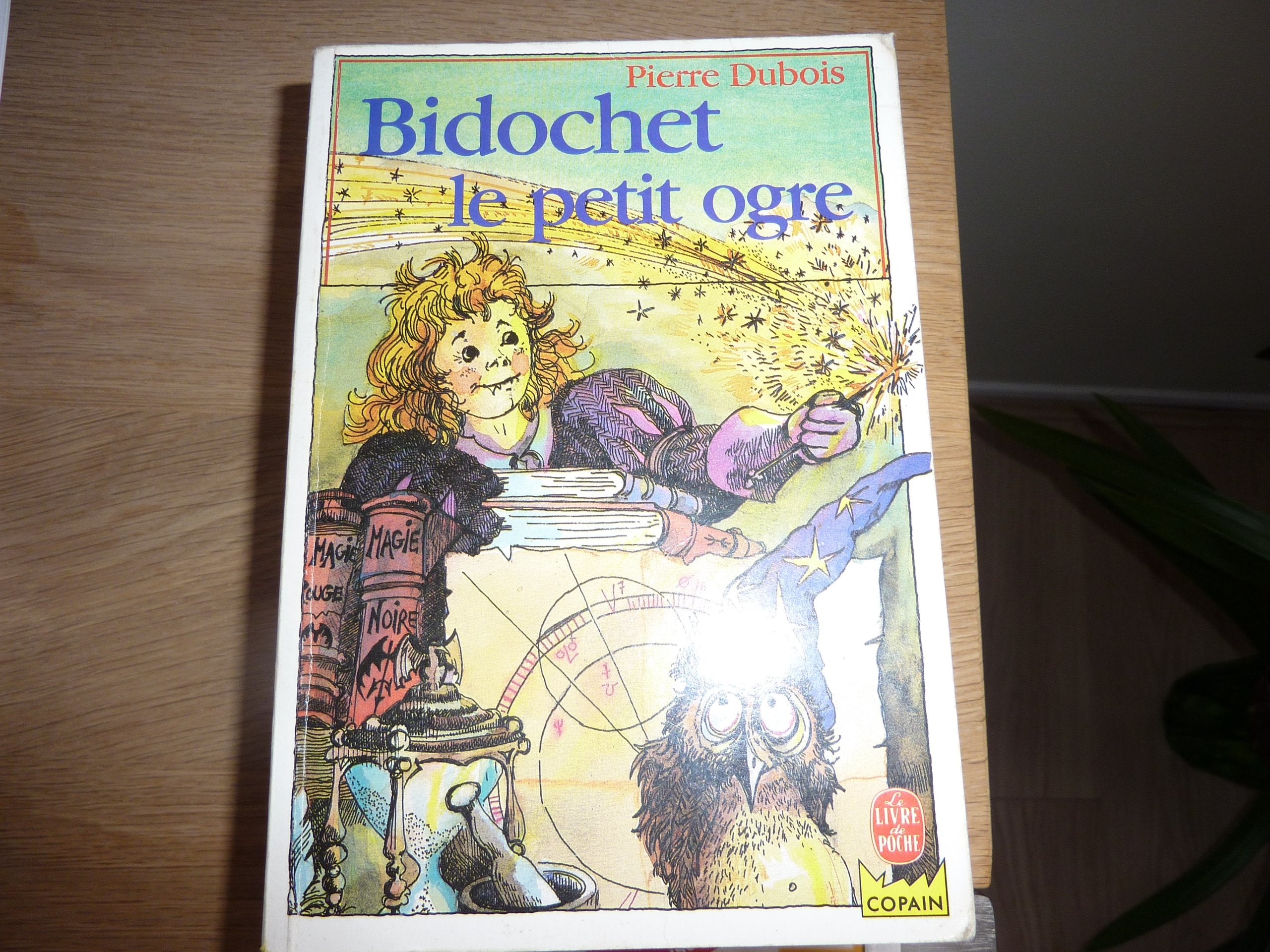 Bidochet le petit ogre 010598 (Hjp Copain) Books
