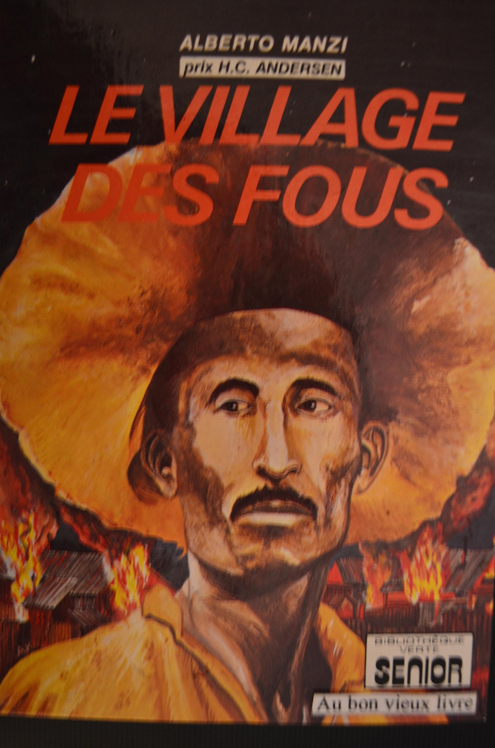Le Village des fous book