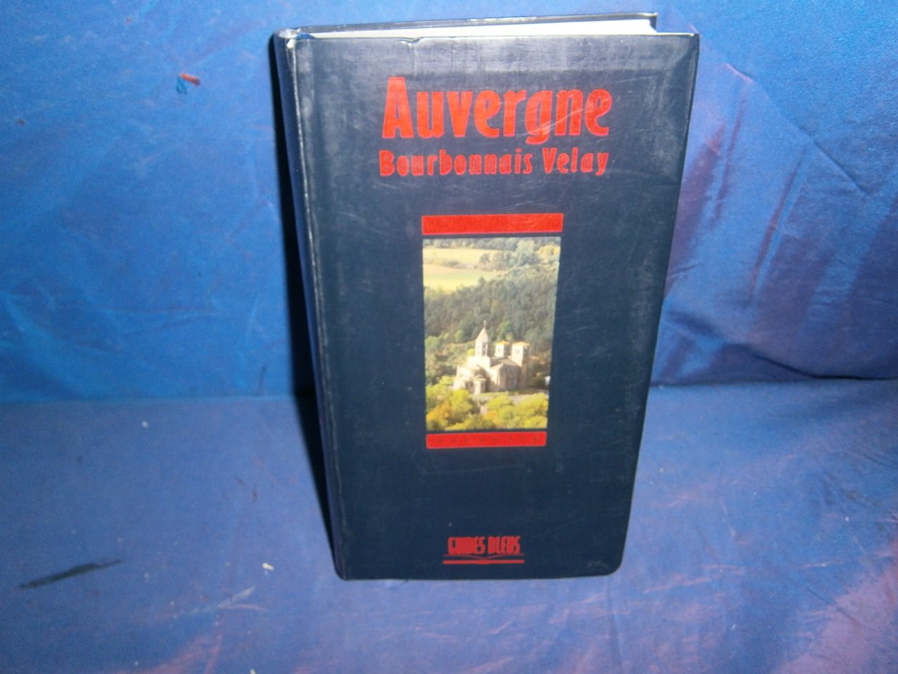 Guide Bleu : Auvergne - Bourbonnais - Velay book