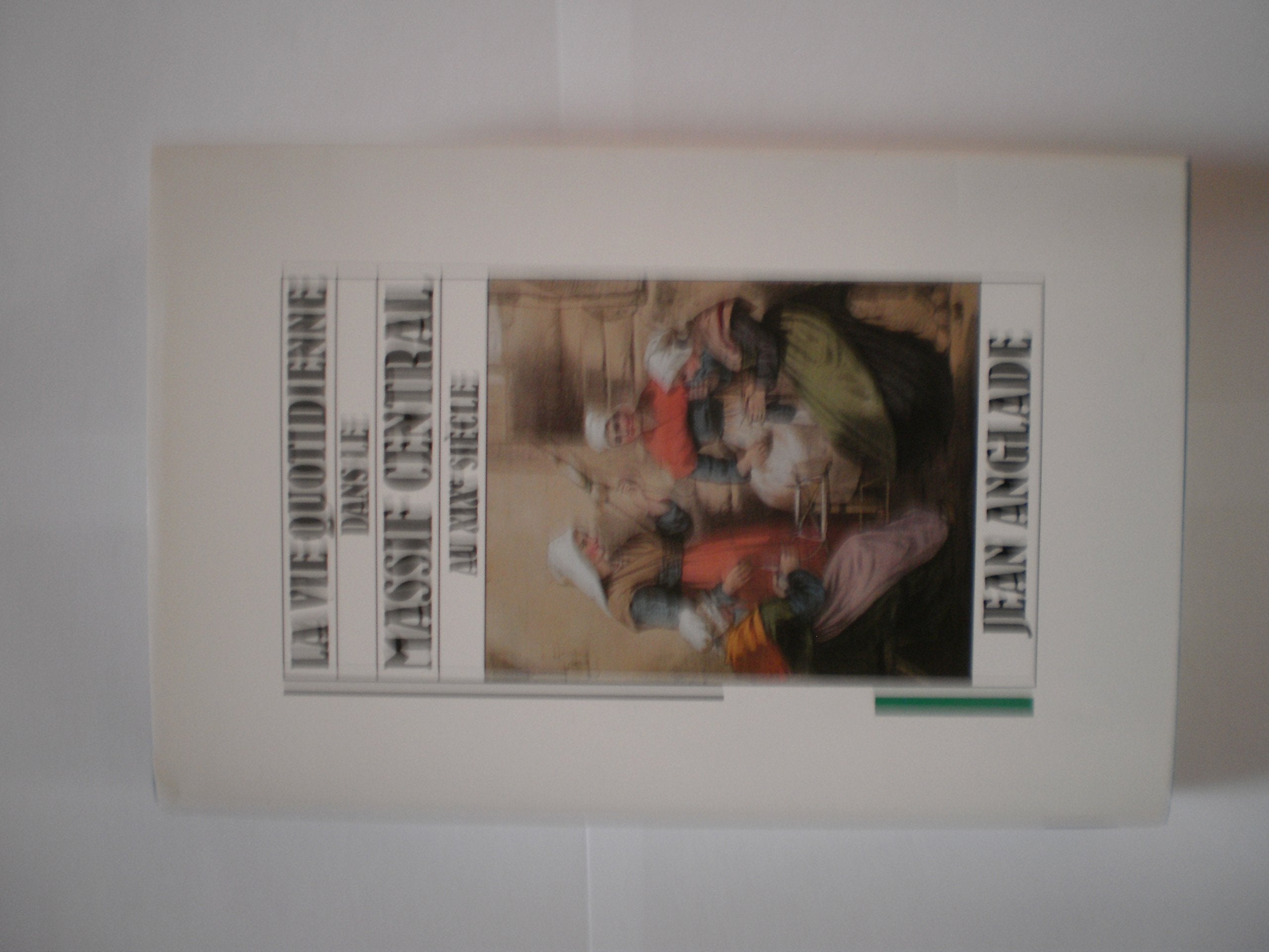 La Vie quotidienne dans le Massif central au 19e siècle book