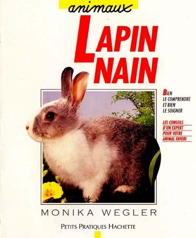 Product Image: Le Lapin nain