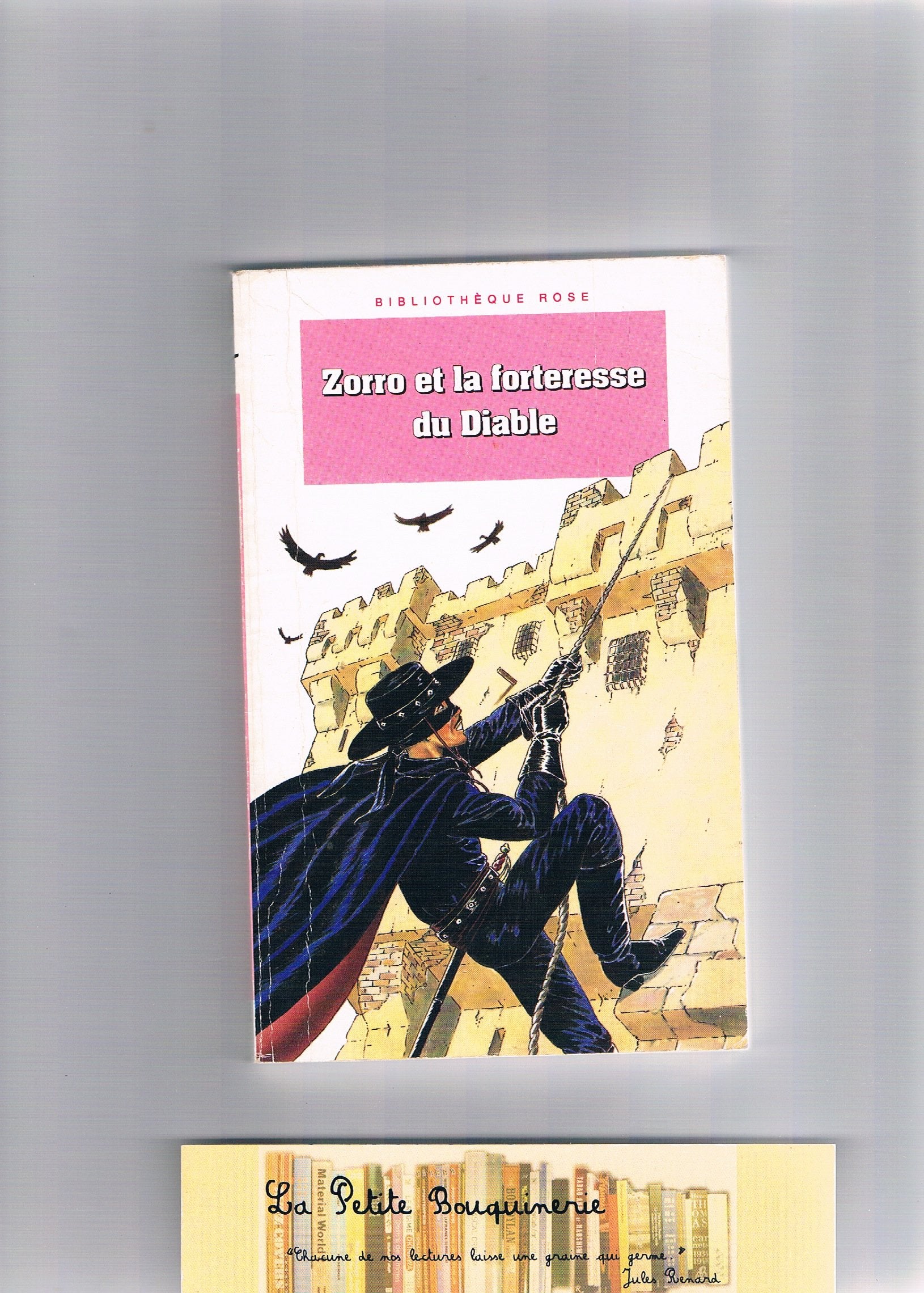 Zorro Et La Forteresse Du Diable book