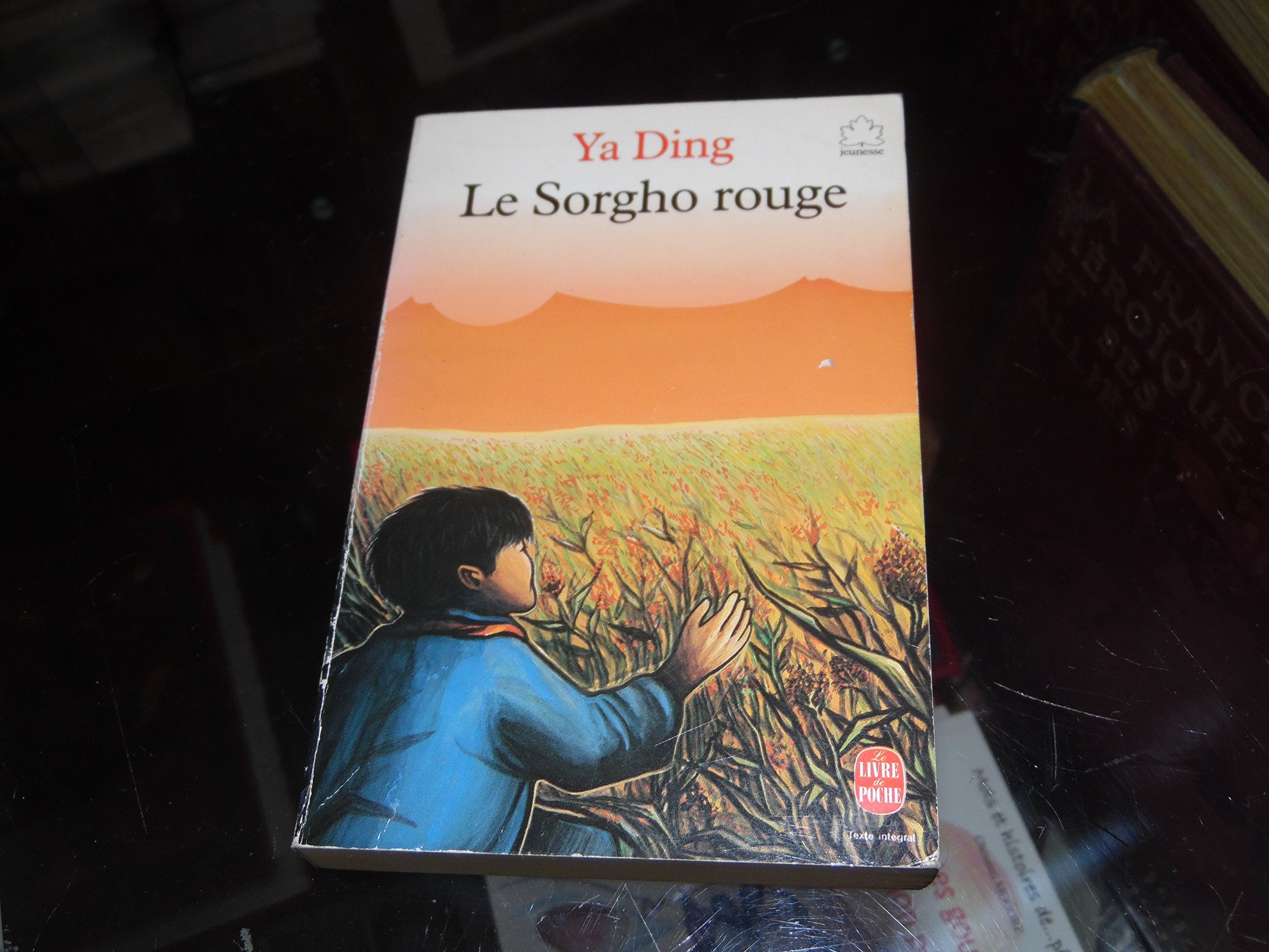 Le sorgho rouge 100296 (Hjr Poche Jeun.) Books
