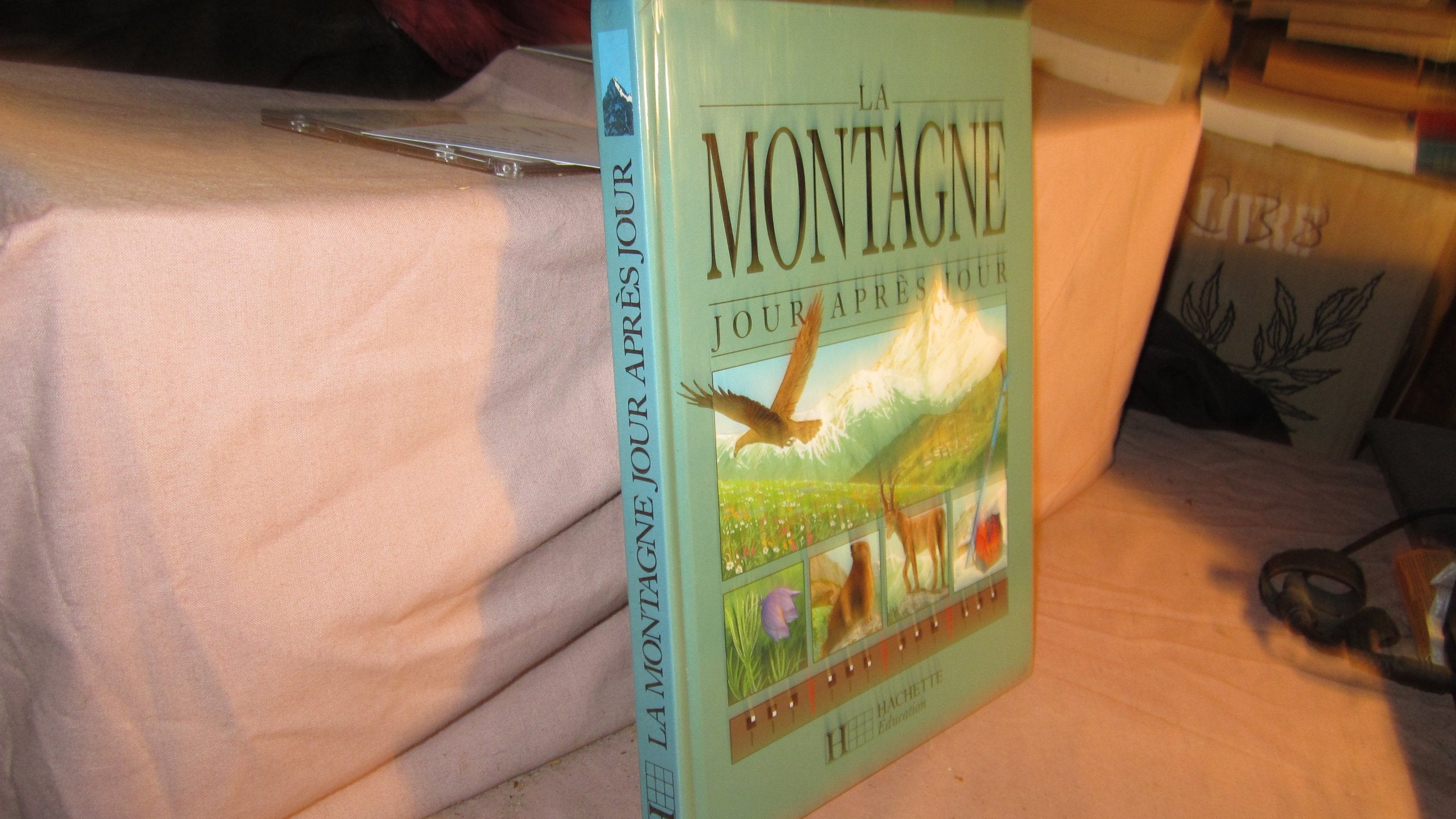 La montagne: Jour après jour book