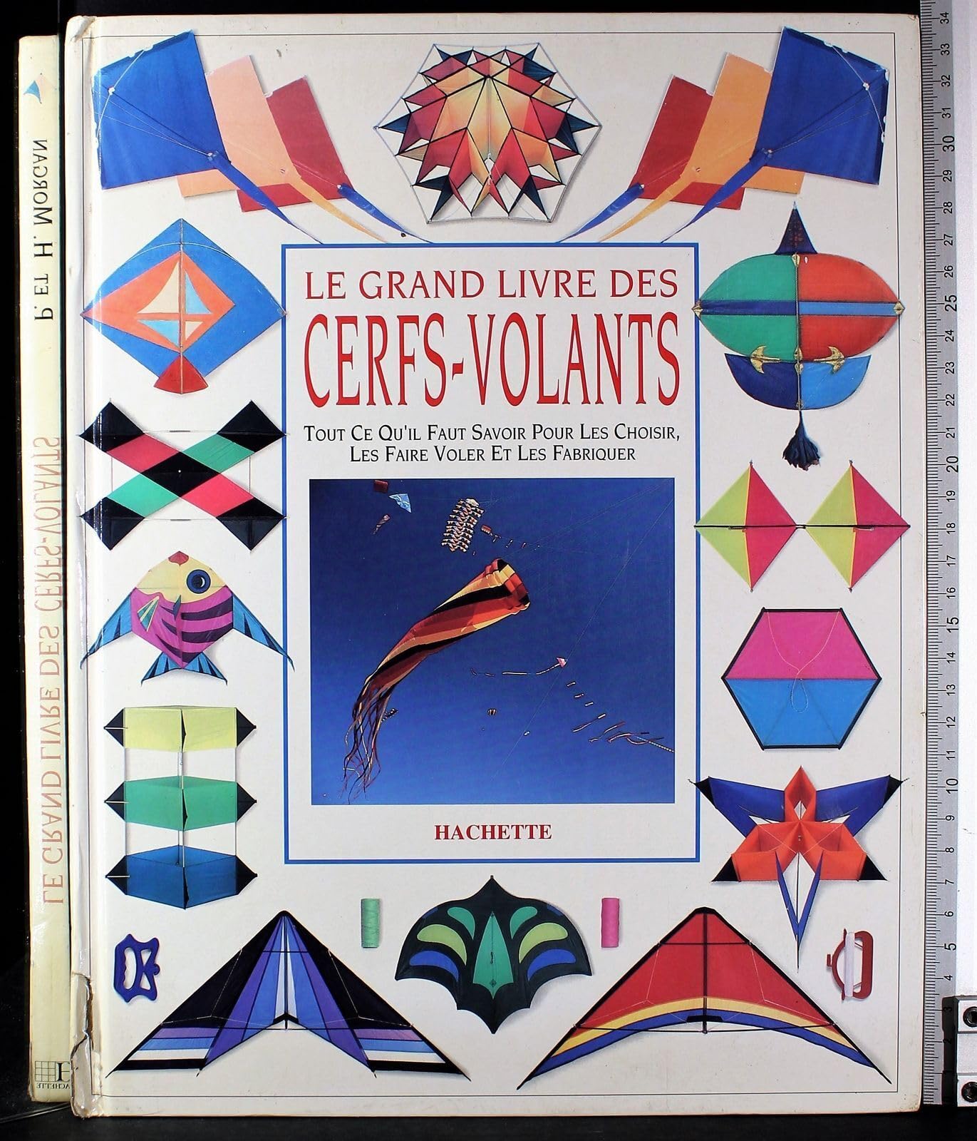 Le grand livre des cerfs-volants book