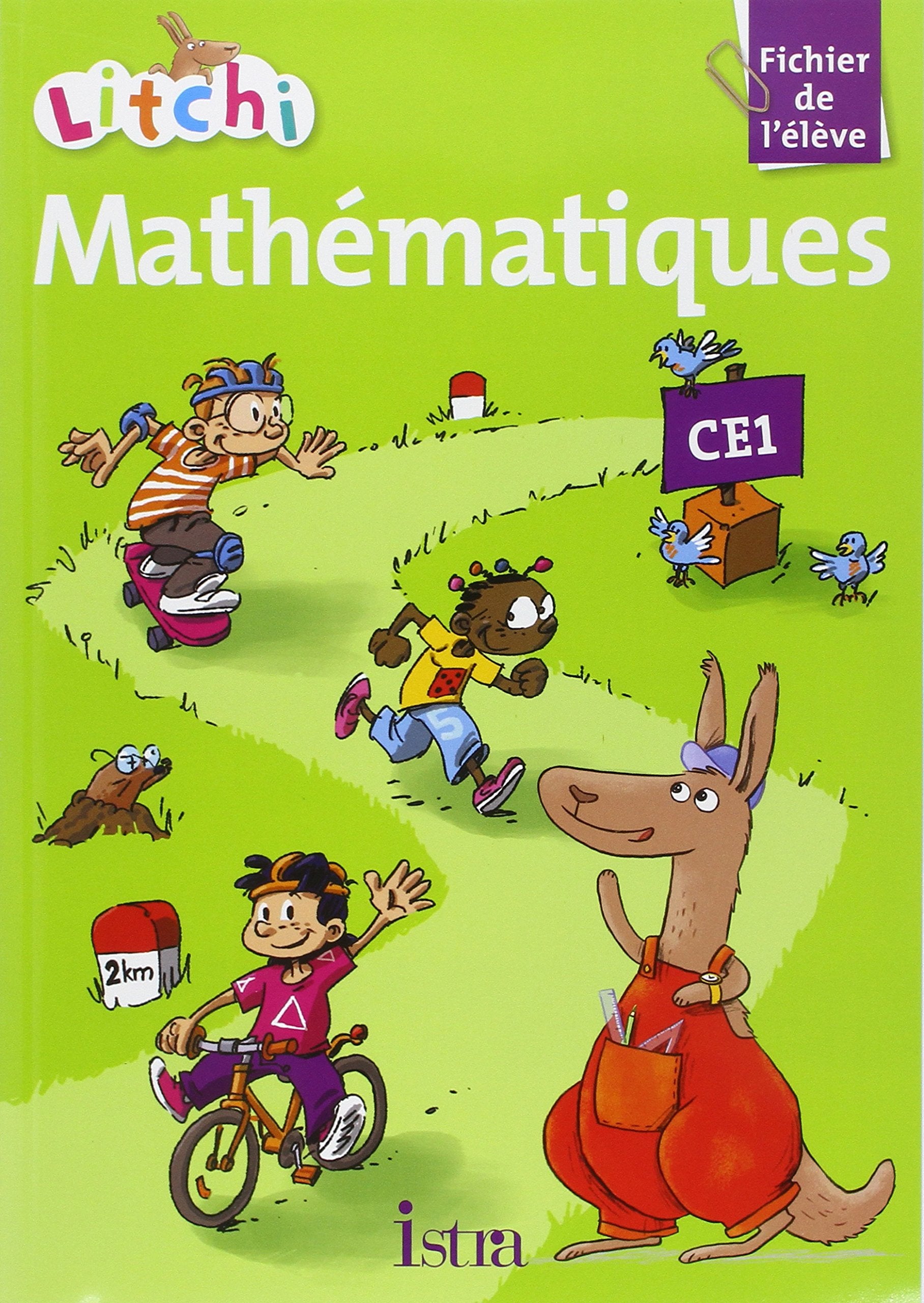 Litchi. Mathématiques CE1. Fichier de l'élève. Per la Scuola elementare Professional & Reference Books