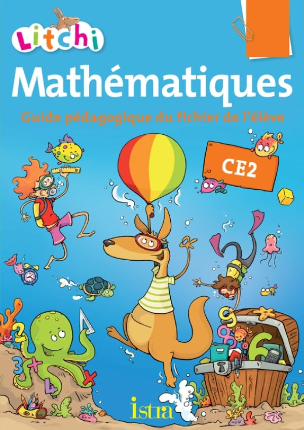 Litchi Mathématiques CE2 - Guide pédagogique du fichier - Edition 2013 Professional & Reference Books