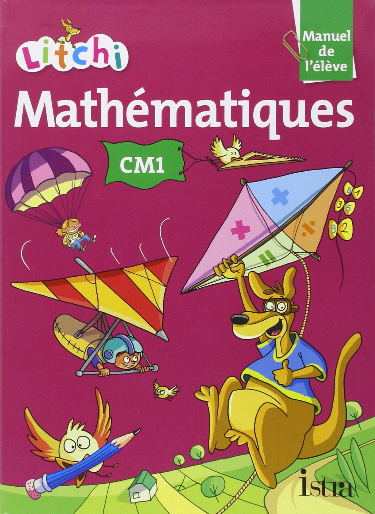 Litchi mathématiques CM1. Manuel de l'élève. Per la Scuola elementare Professional & Reference Books