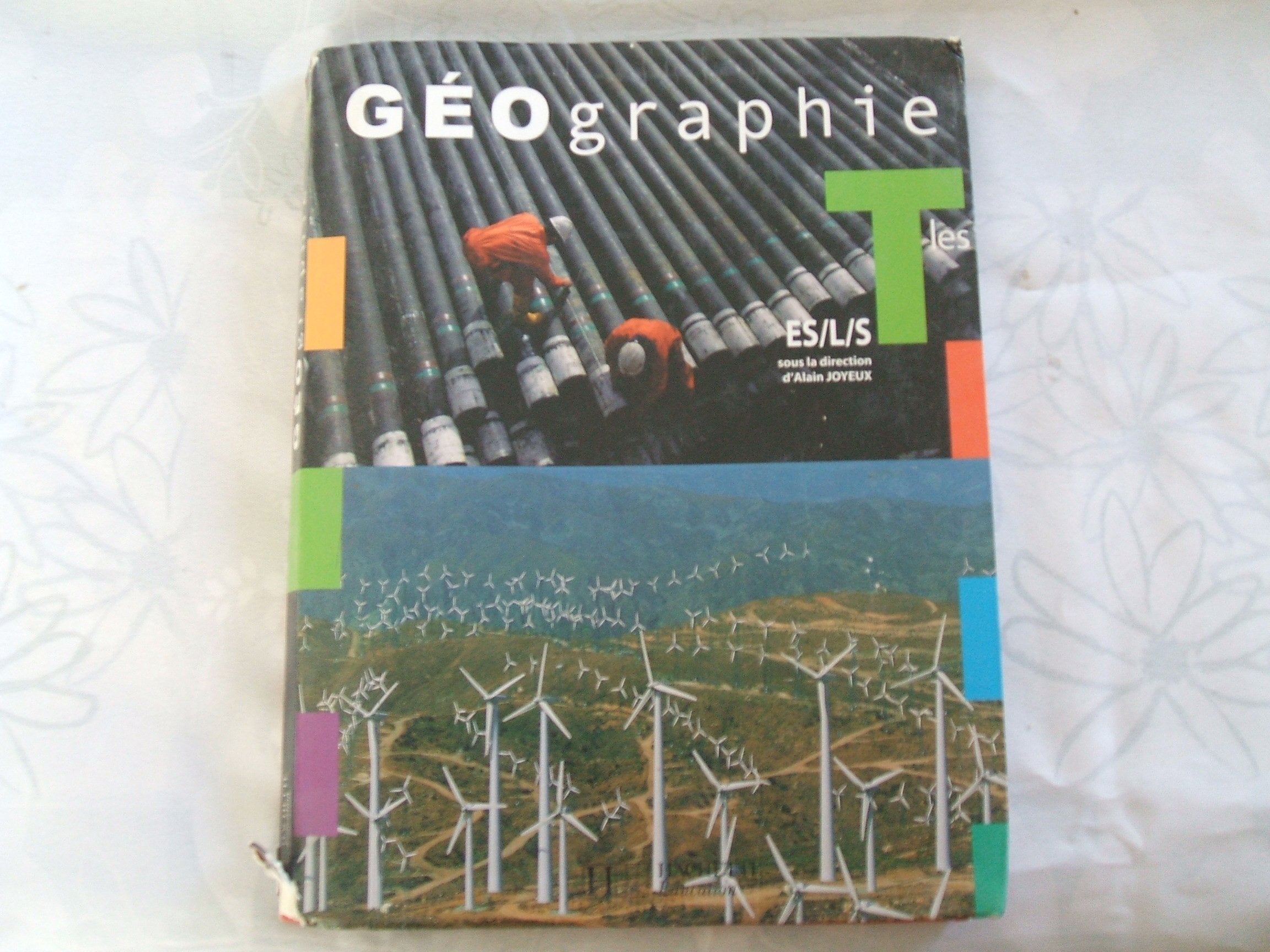 EsaBAC. Geographie terminales ES/L/S. Per le Scuole superiori. Con espansione online Professional & Reference Books
