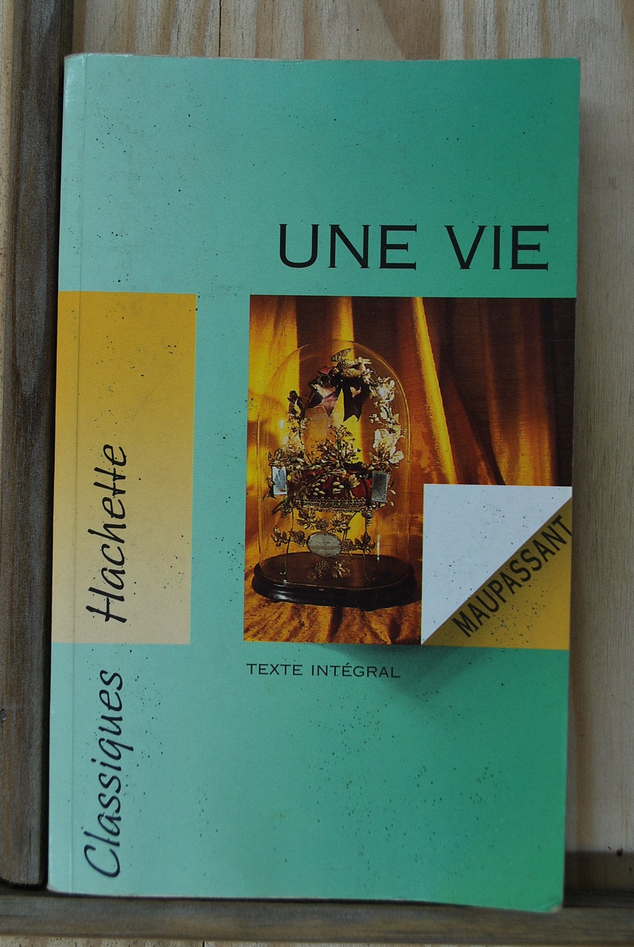 Une vie: Roman, texte intégral Books