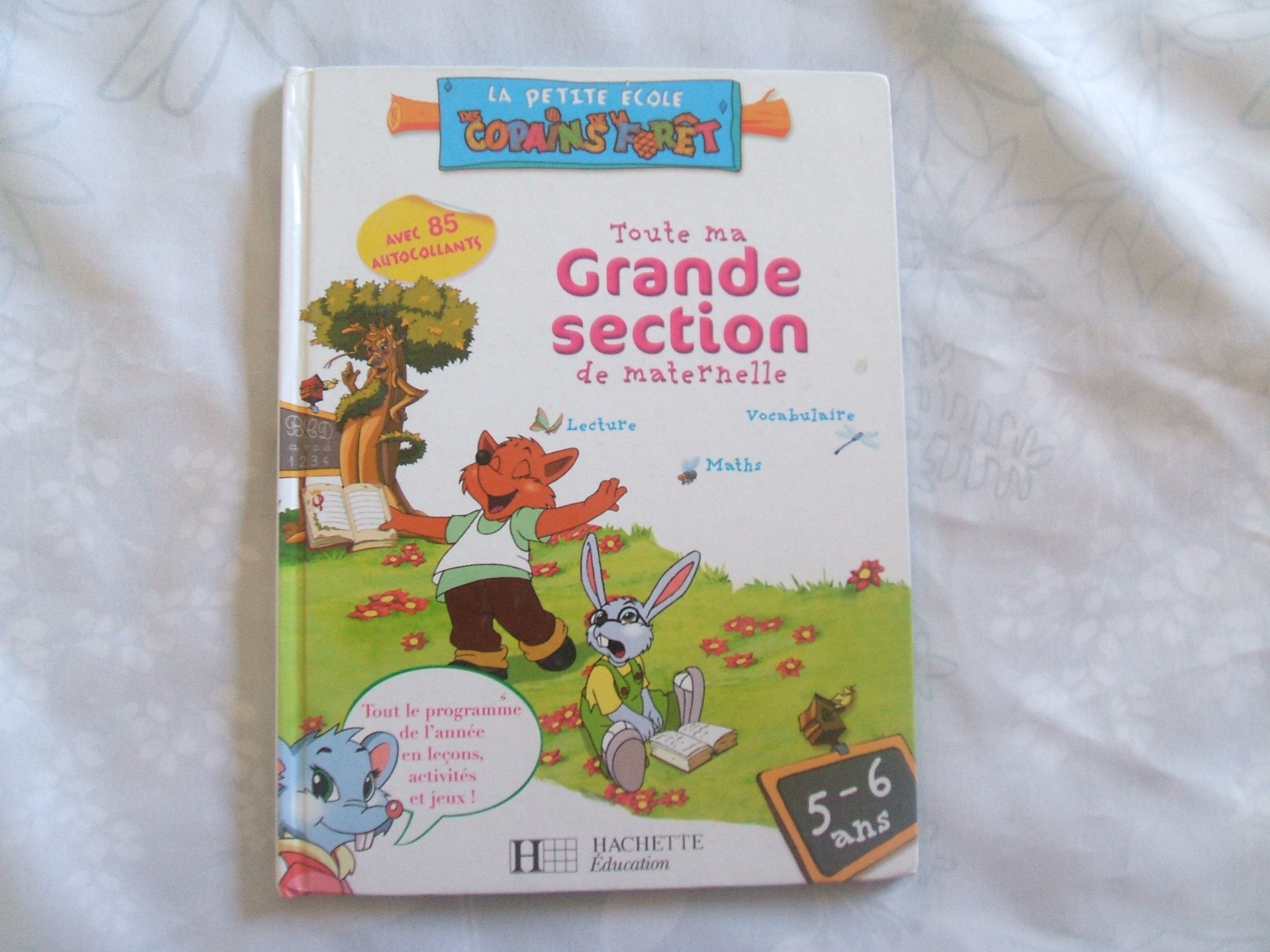 Toute ma Grande Section de Maternelle Books