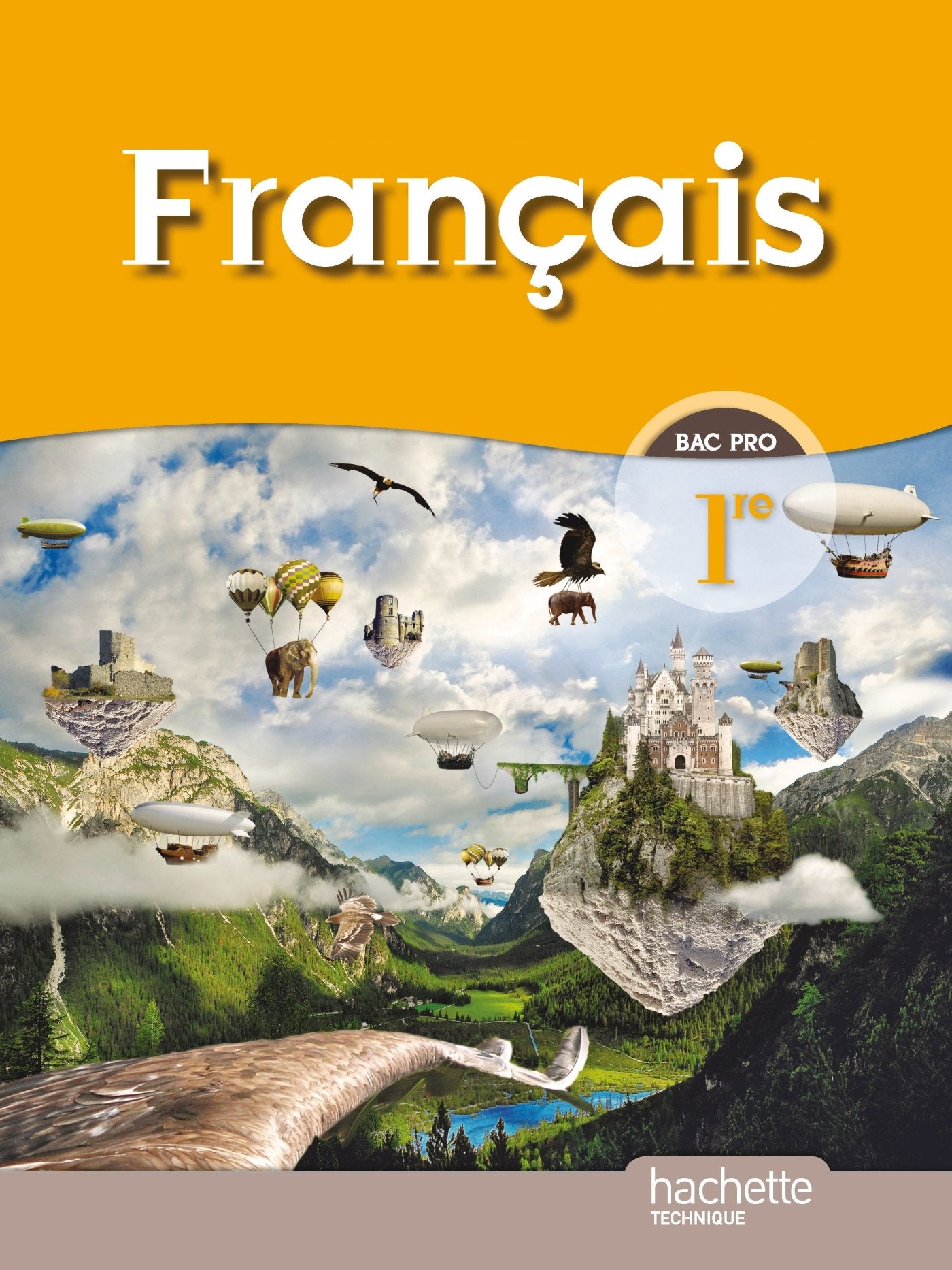 Français 1re Bac Pro - Livre élève Grand format - Ed.2010 book