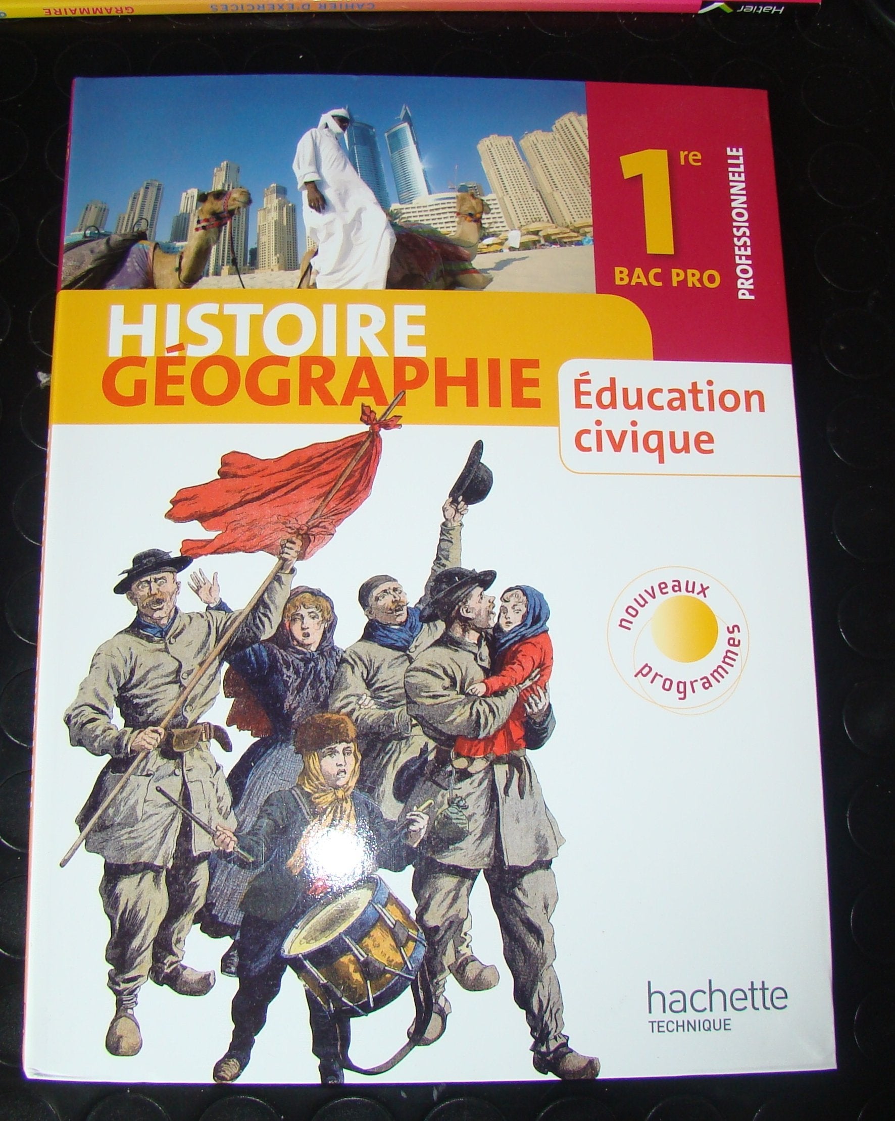 Histoire Géographie Education civique 1re professionnelle Bac Pro book
