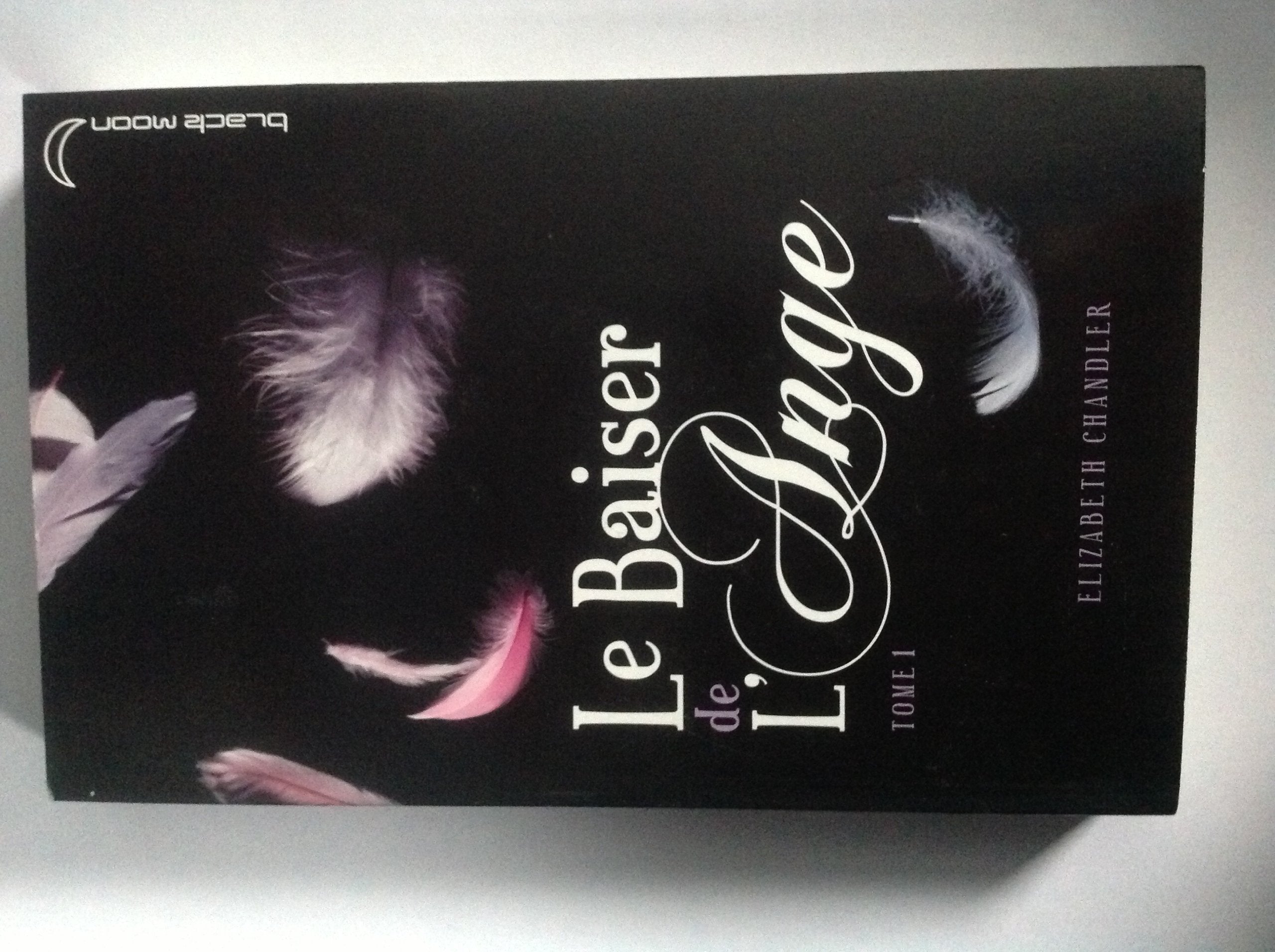 Le baiser de l'ange - Tome 1 - L'accident Fiction