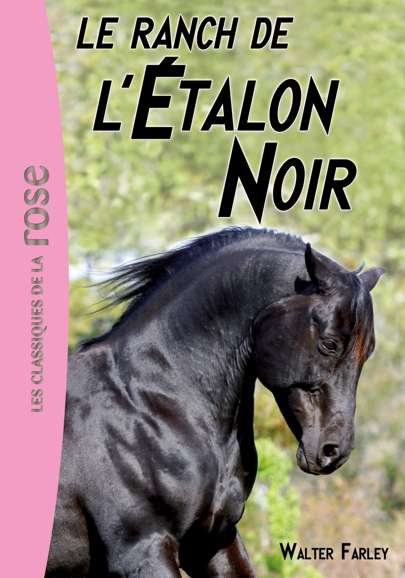 L'Étalon noir 03 - Le ranch de l'Étalon Noir Contemporary literature