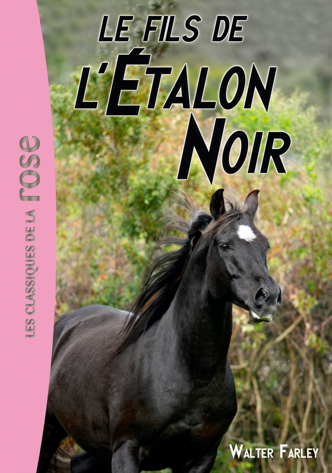 L'Étalon noir 04 - Le fils de l'Étalon Noir Contemporary literature